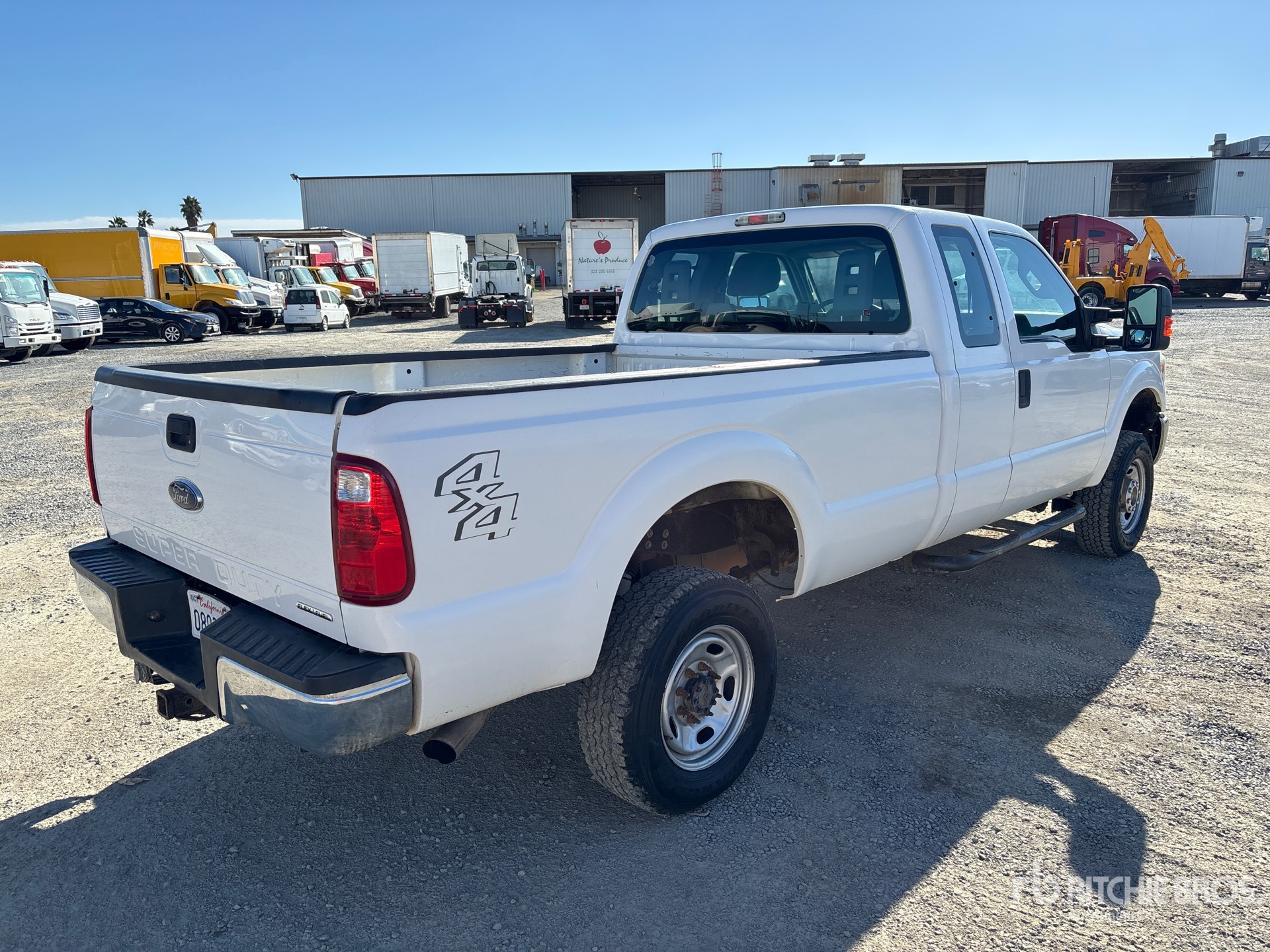 General Appearance with Foto, angolo anteriore sinistro