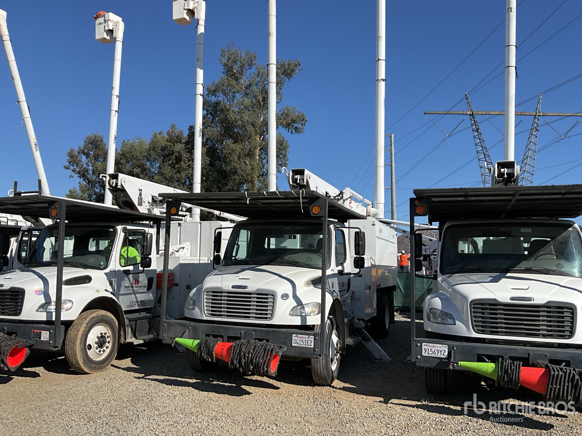 General Appearance with Featured Photo