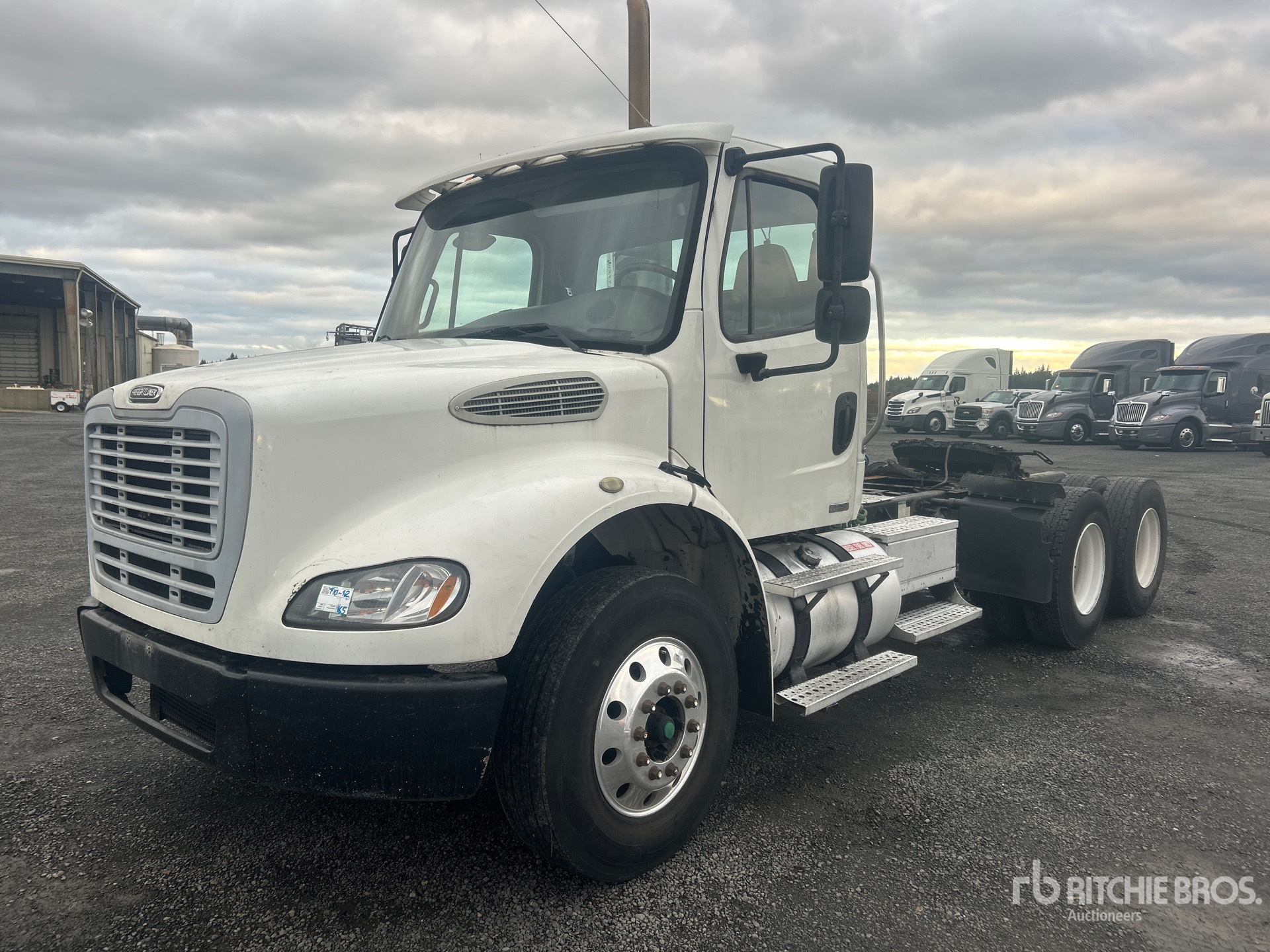 General Appearance with Spin