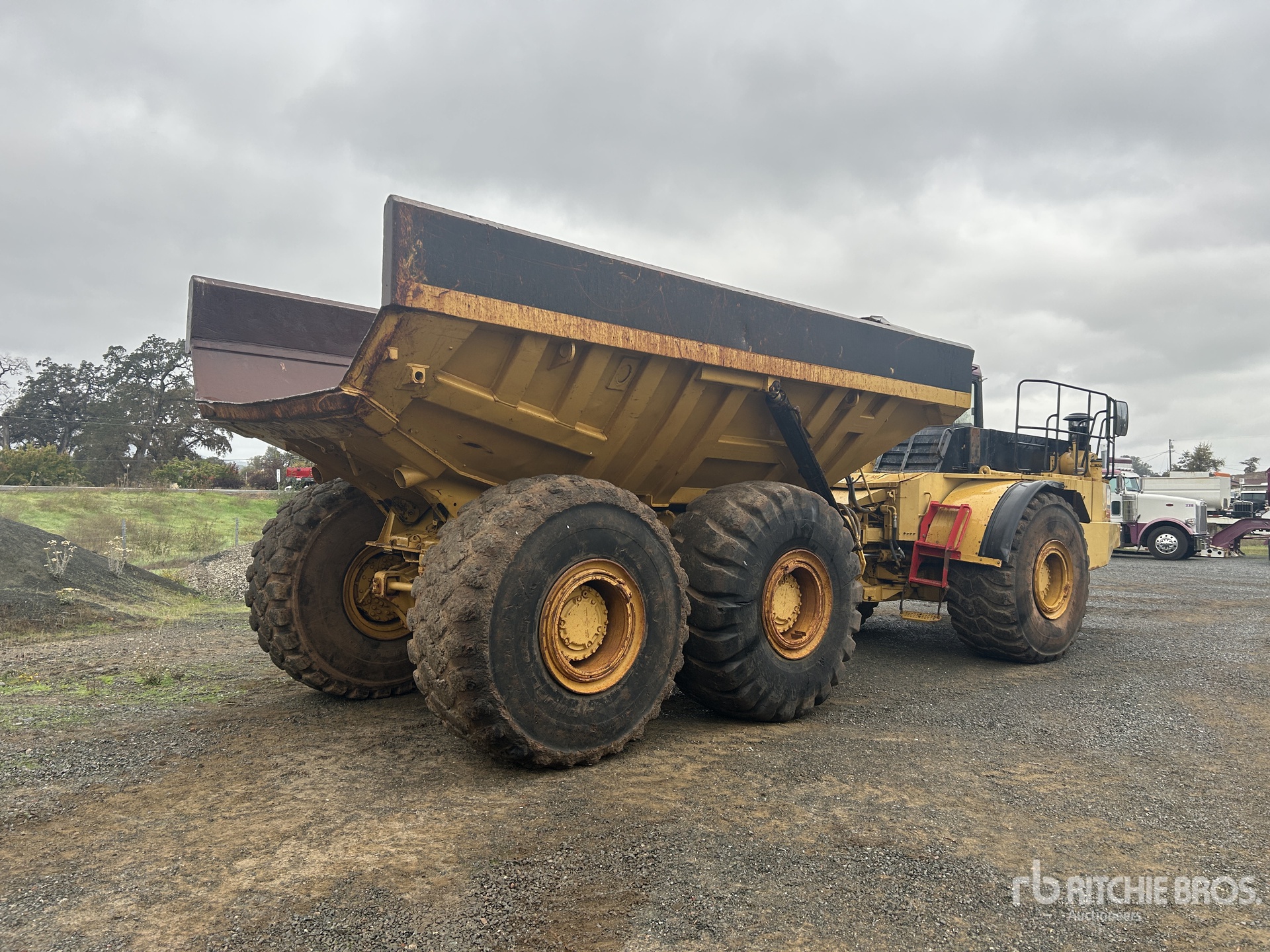 General Appearance with