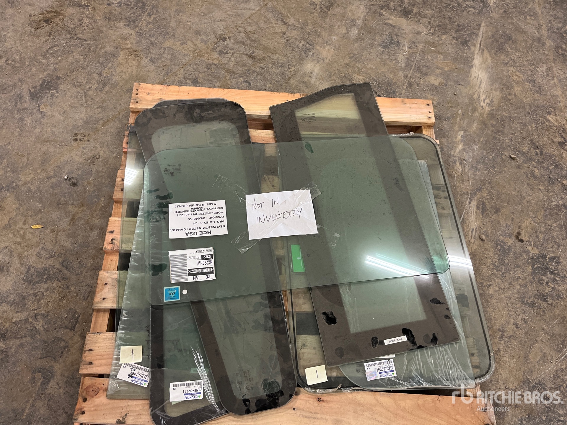 General Appearance with 