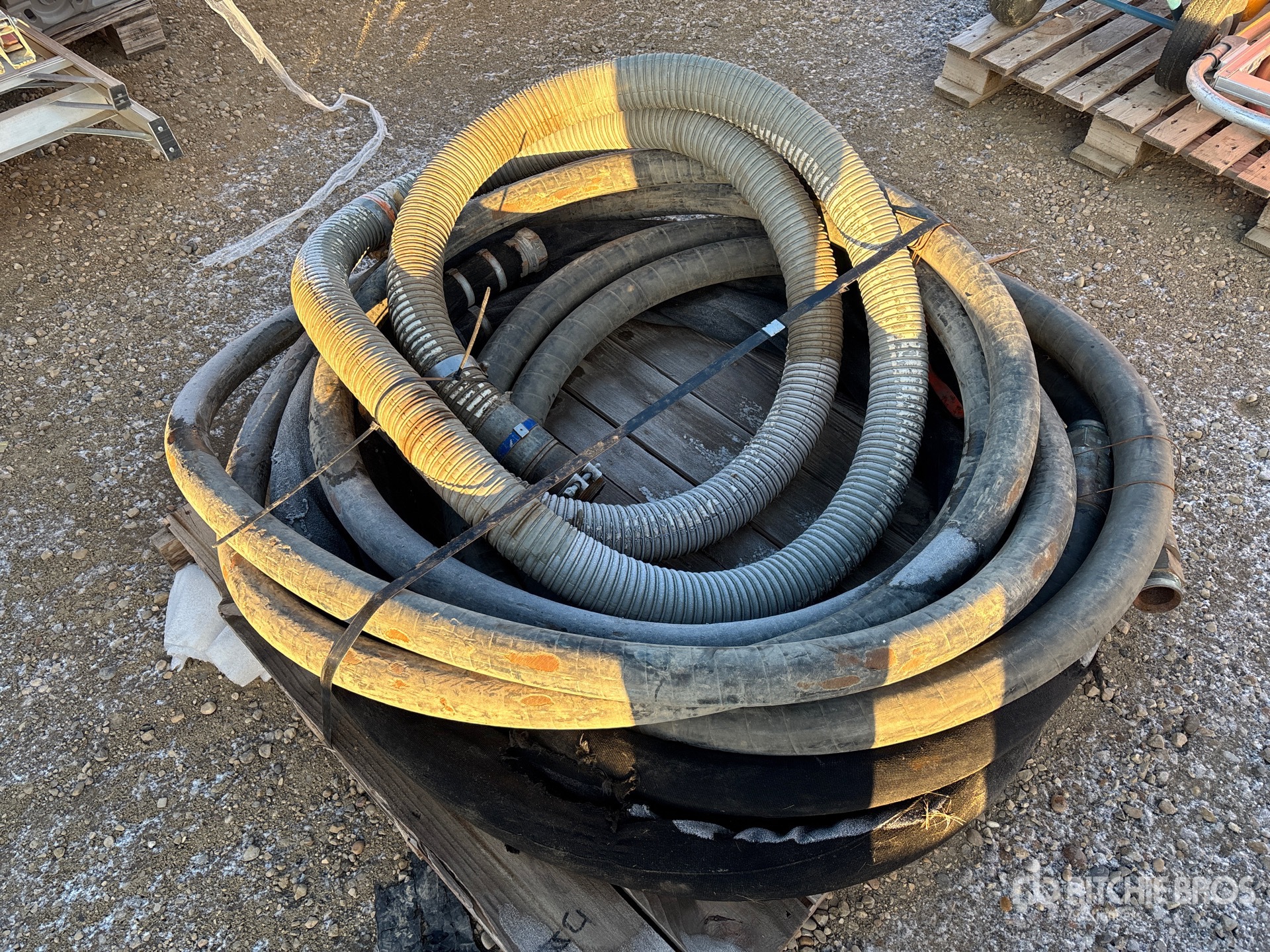 General Appearance with Foto, angolo anteriore sinistro