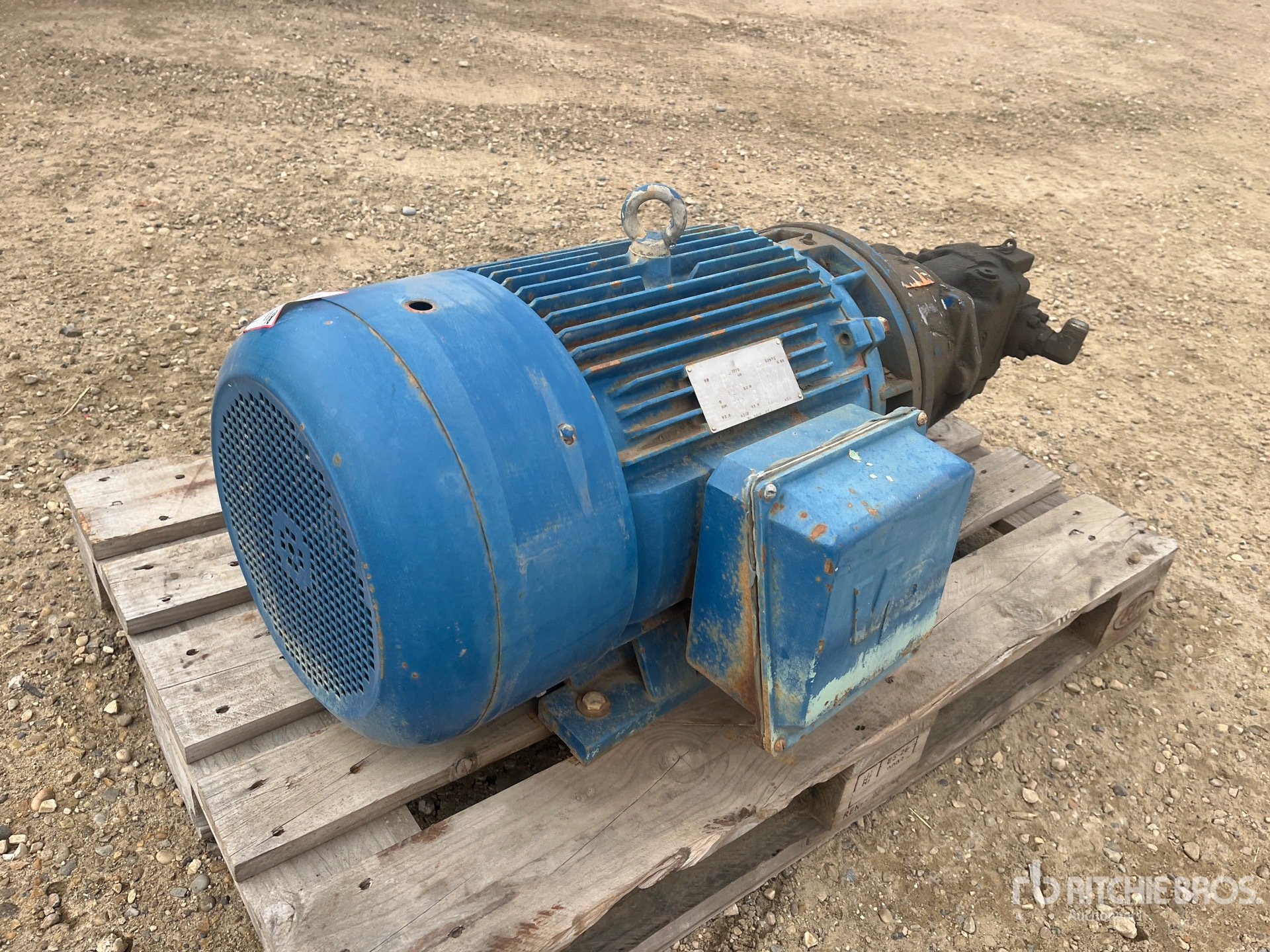 General Appearance with Bild, Ecke hinten links