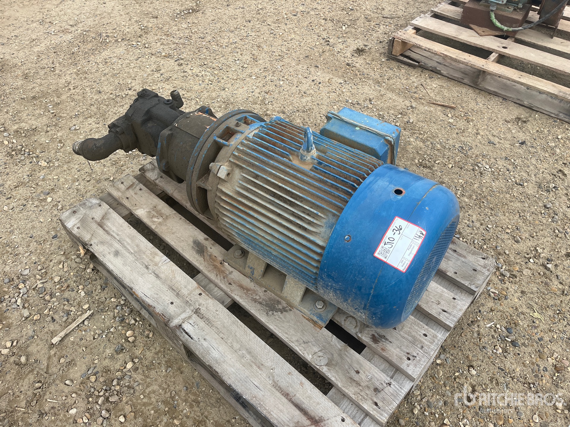 General Appearance with Bild, Ecke vorne links