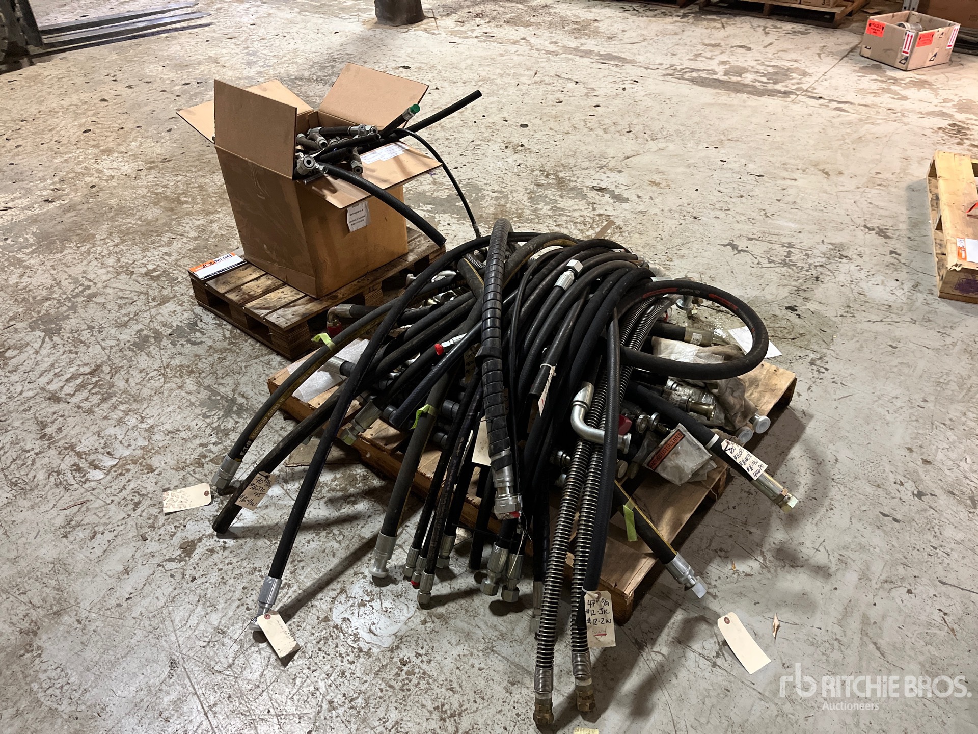 General Appearance with Imagen: esquina trasera izquierda