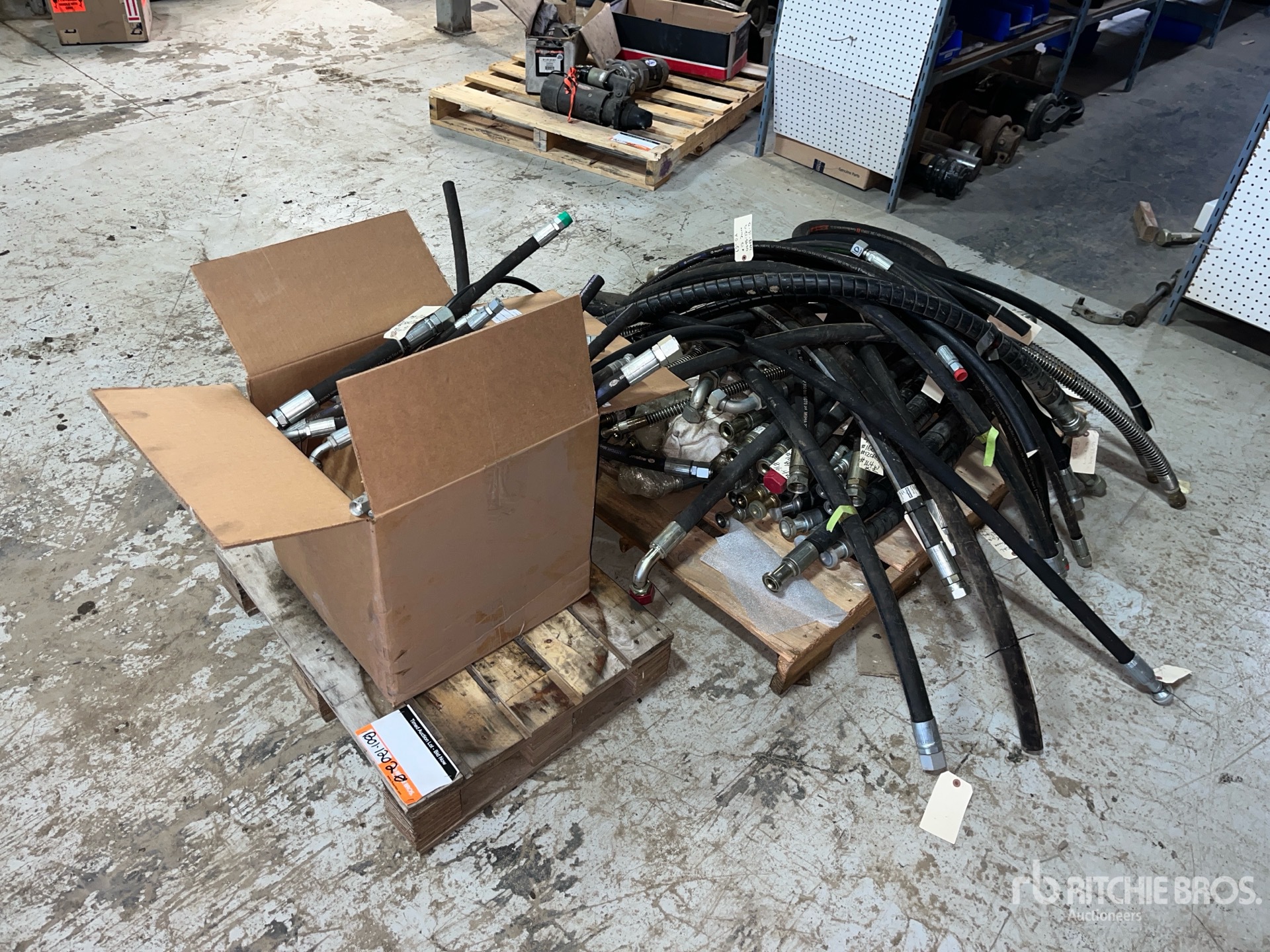 General Appearance with Imagen: esquina delantera izquierda