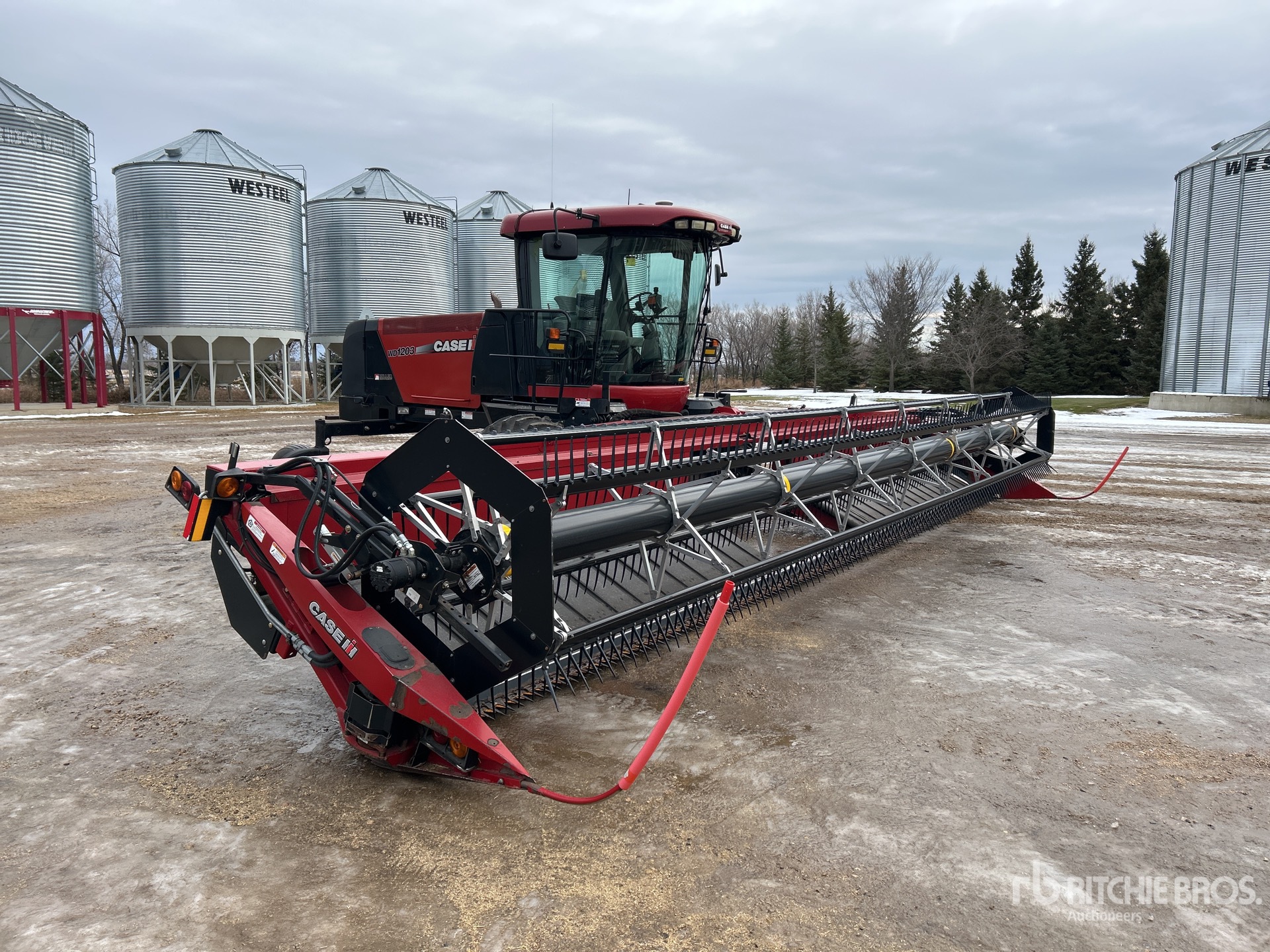 General Appearance with Zdjęcie, prawy górny róg