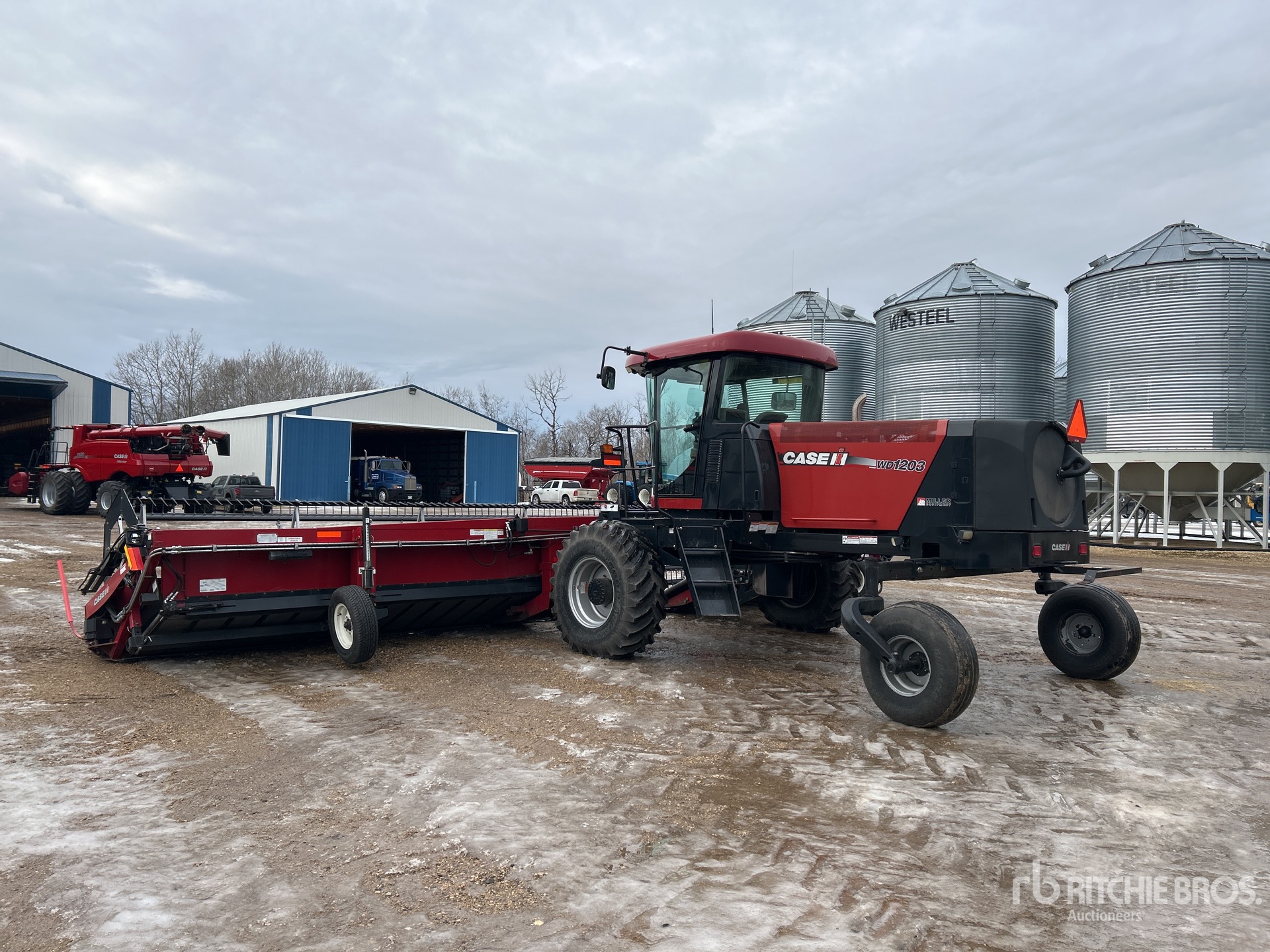 General Appearance with Zdjęcie, lewy dolny róg