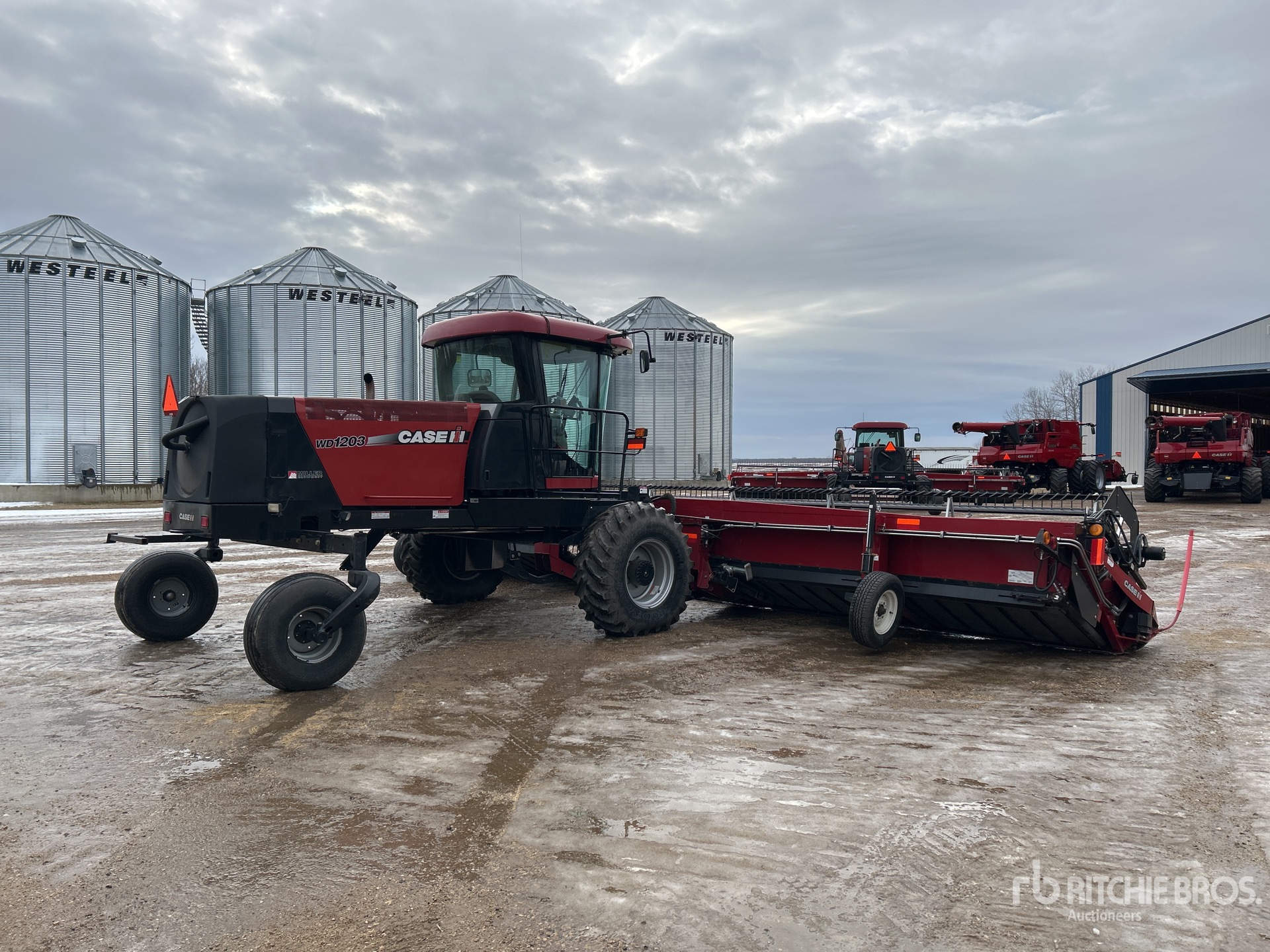 General Appearance with Zdjęcie, prawy dolny róg