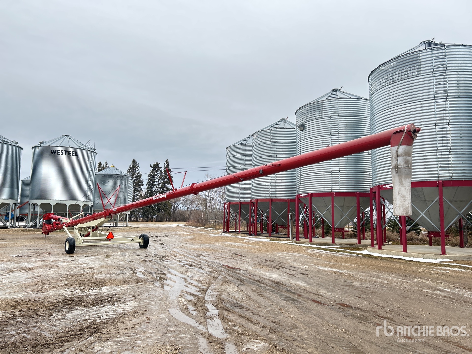 General Appearance with Foto, angolo posteriore sinistro