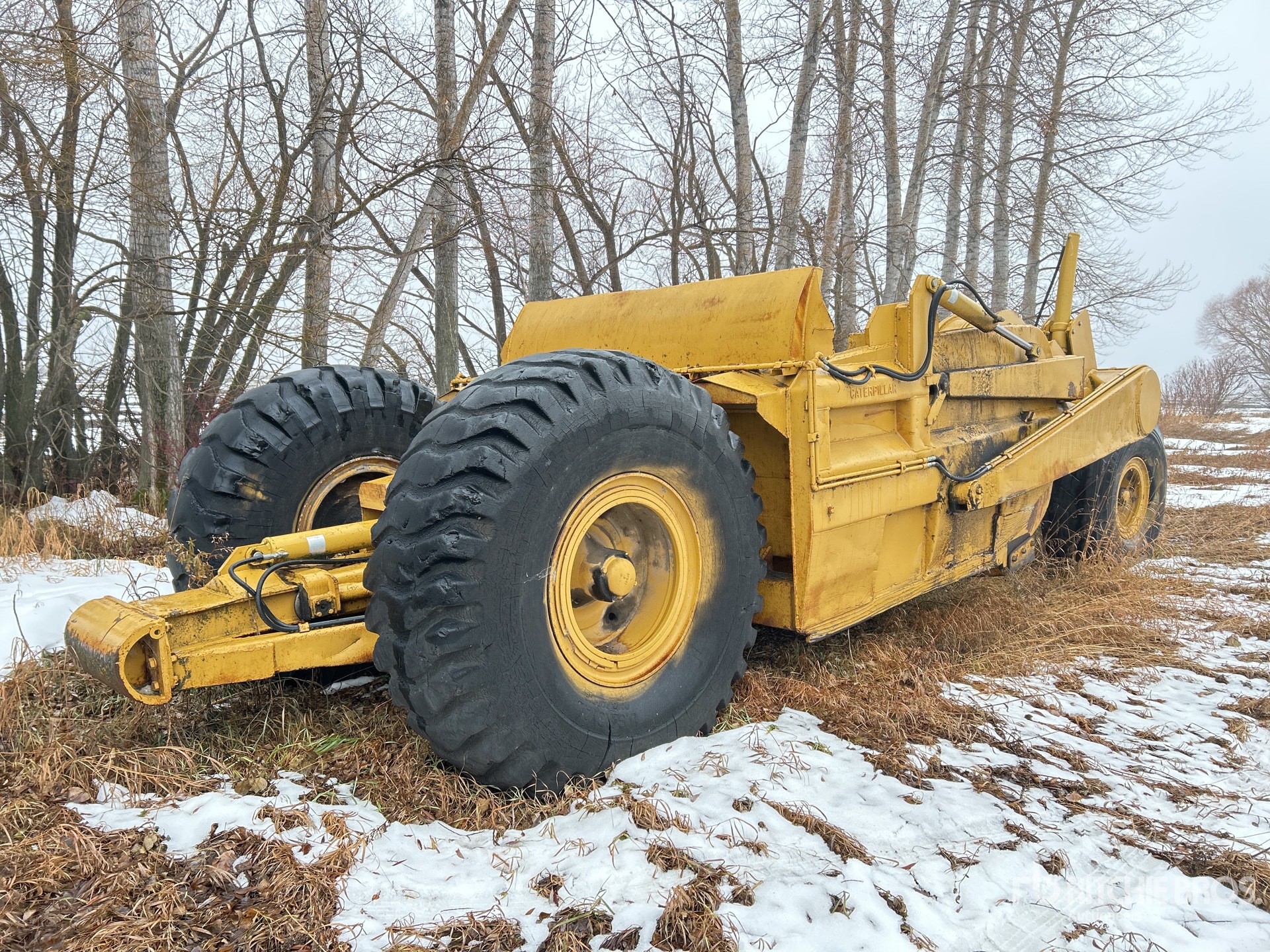 General Appearance with Zdjęcie, prawy dolny róg