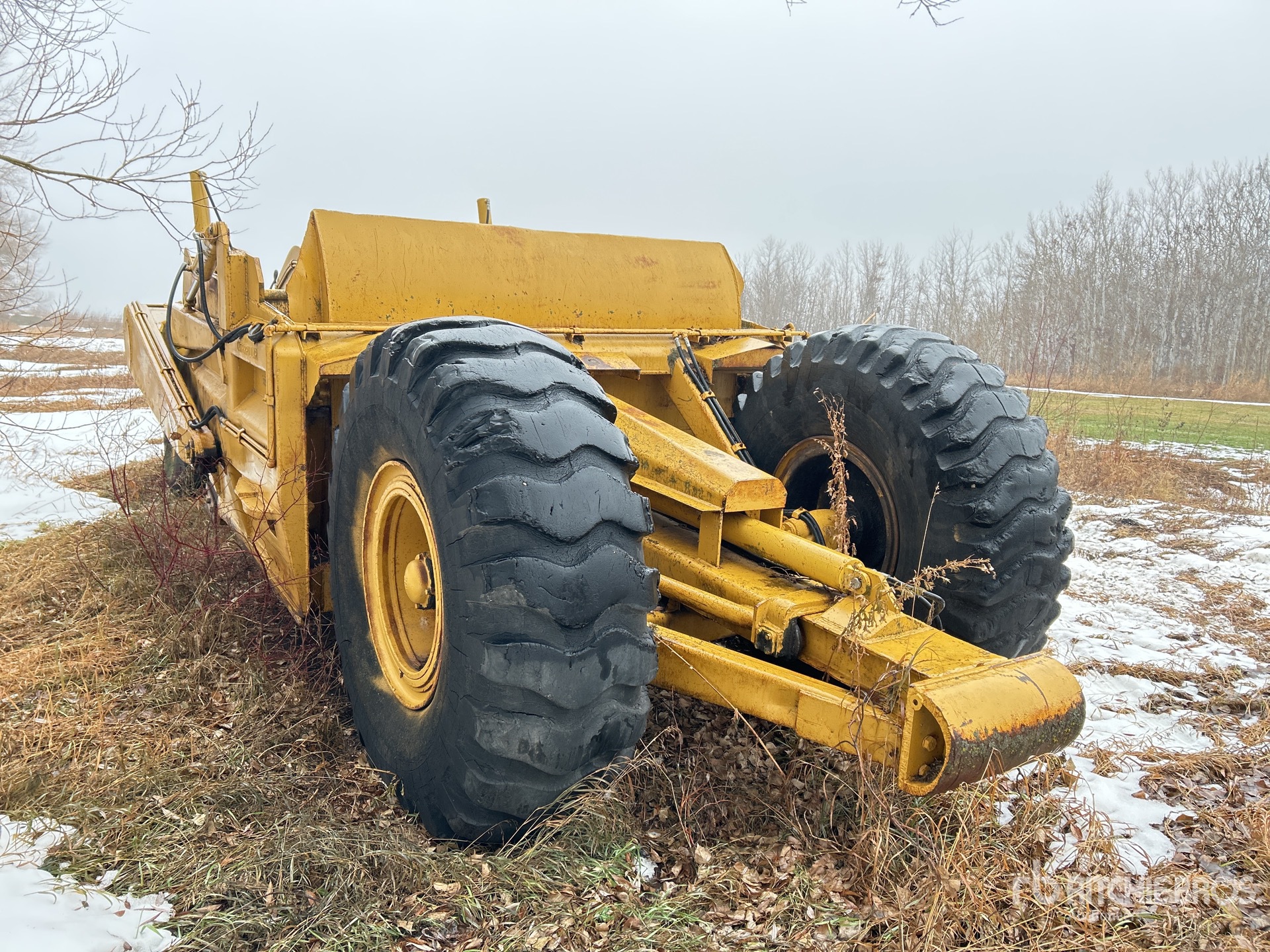 General Appearance with Zdjęcie, lewy dolny róg