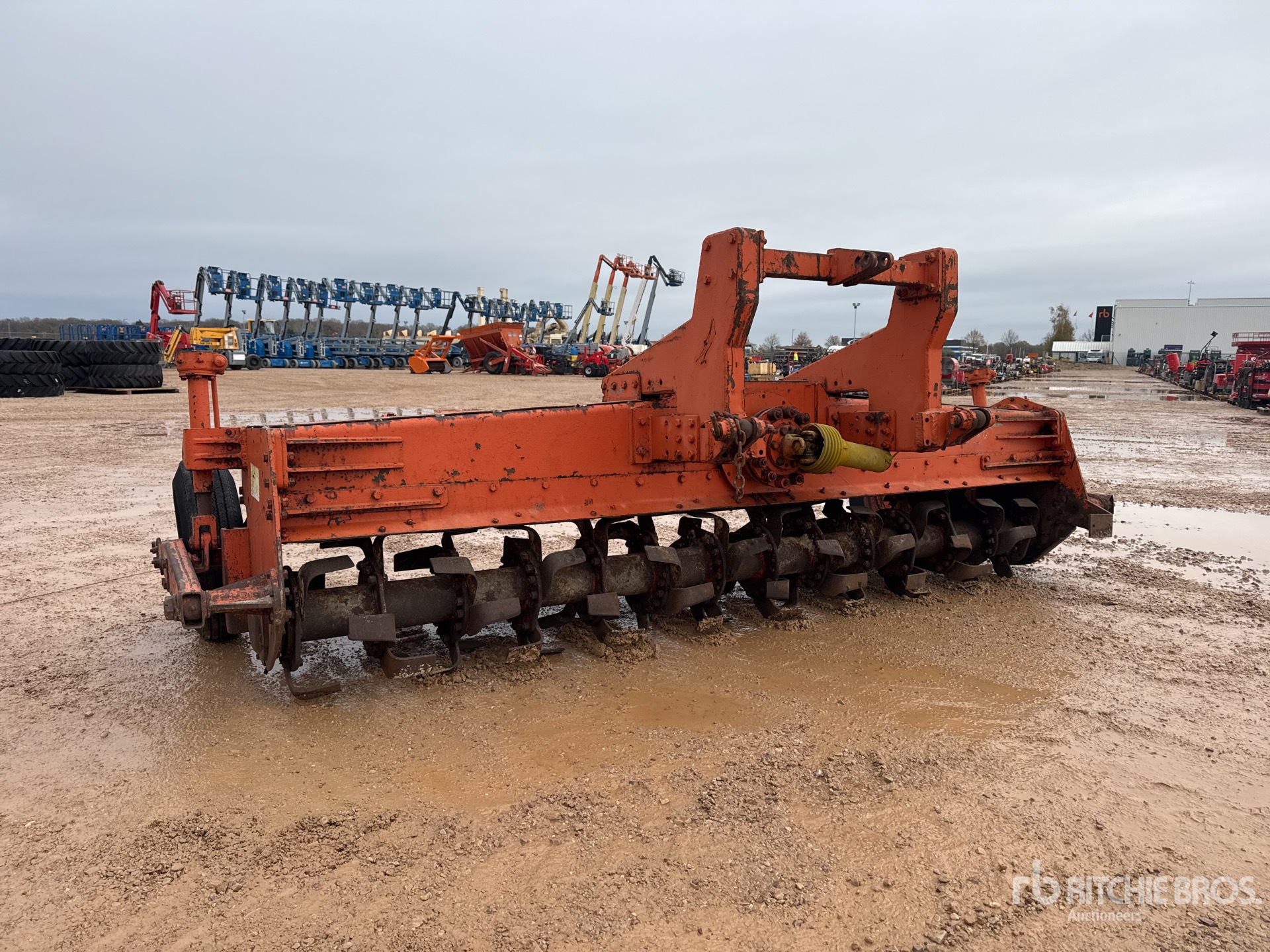 General Appearance with 