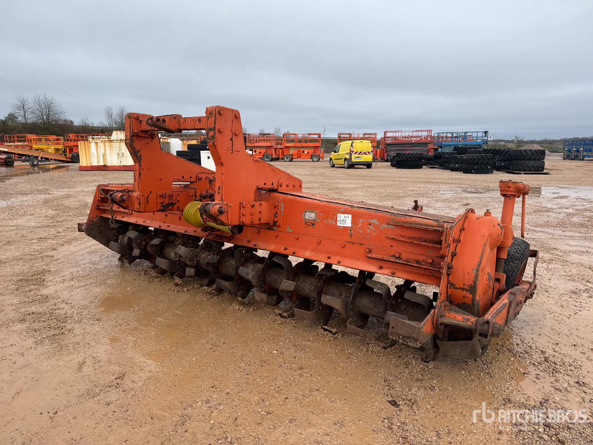 General Appearance with 