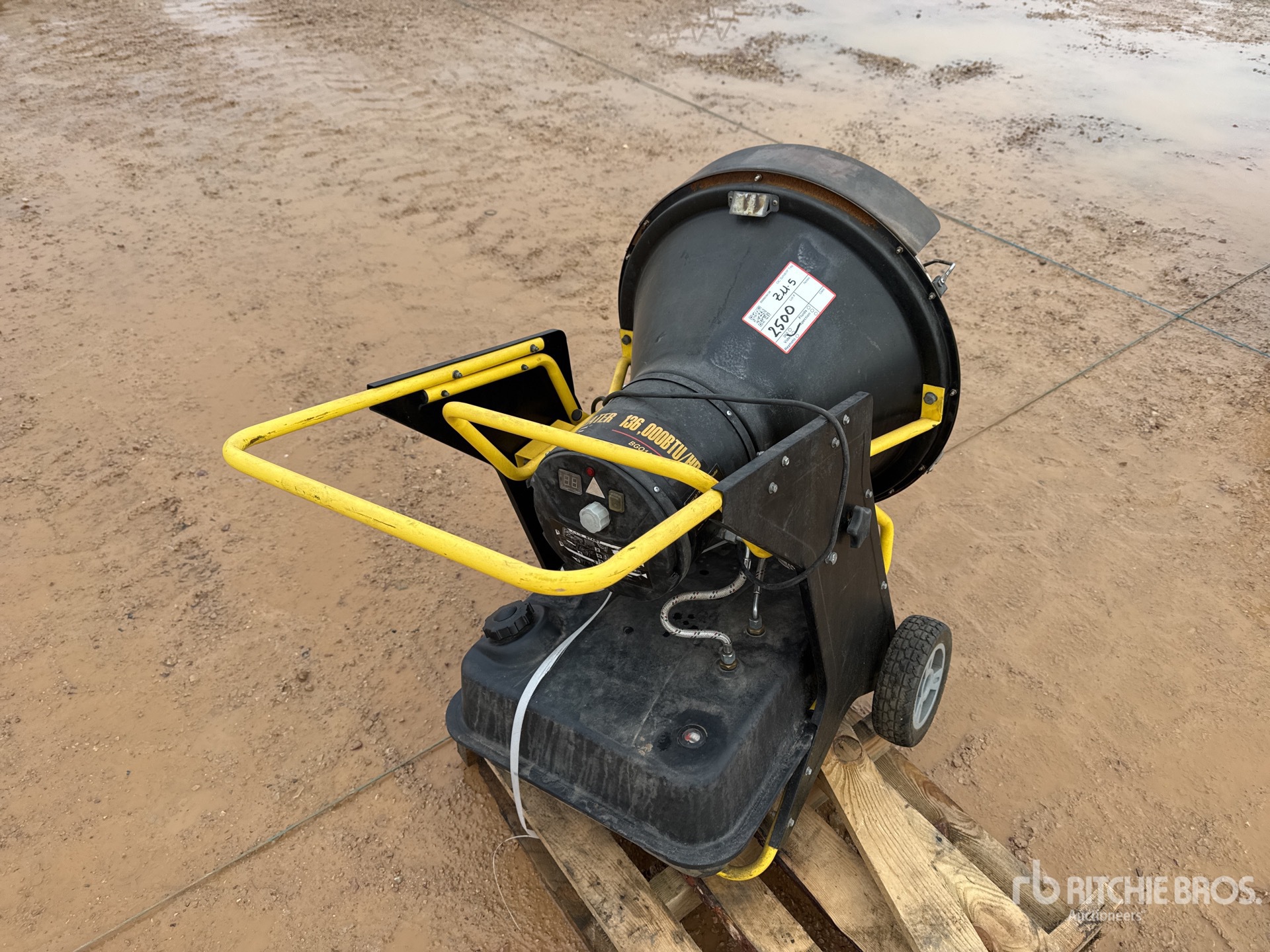 General Appearance with 