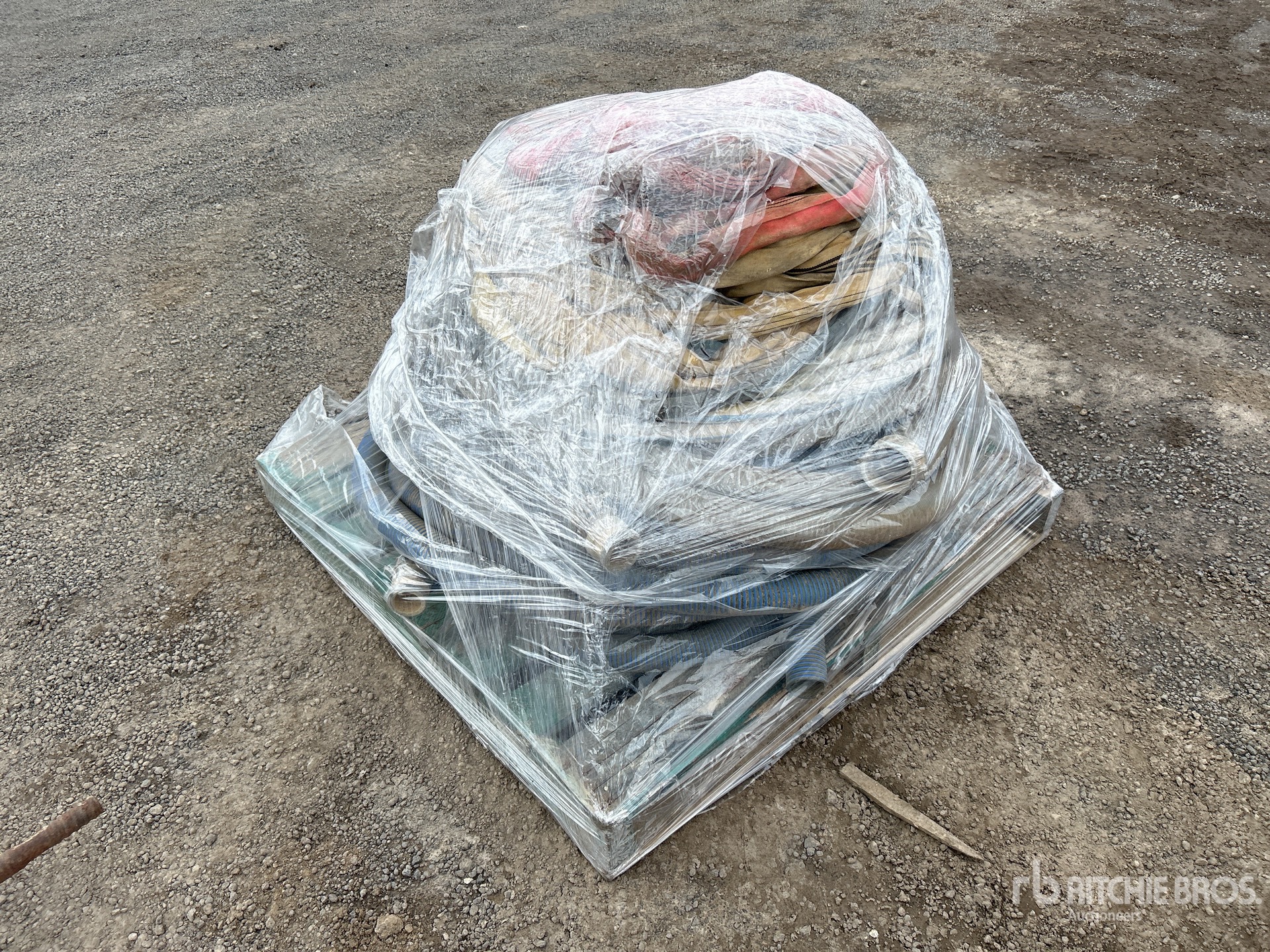 General Appearance with Foto, angolo posteriore sinistro