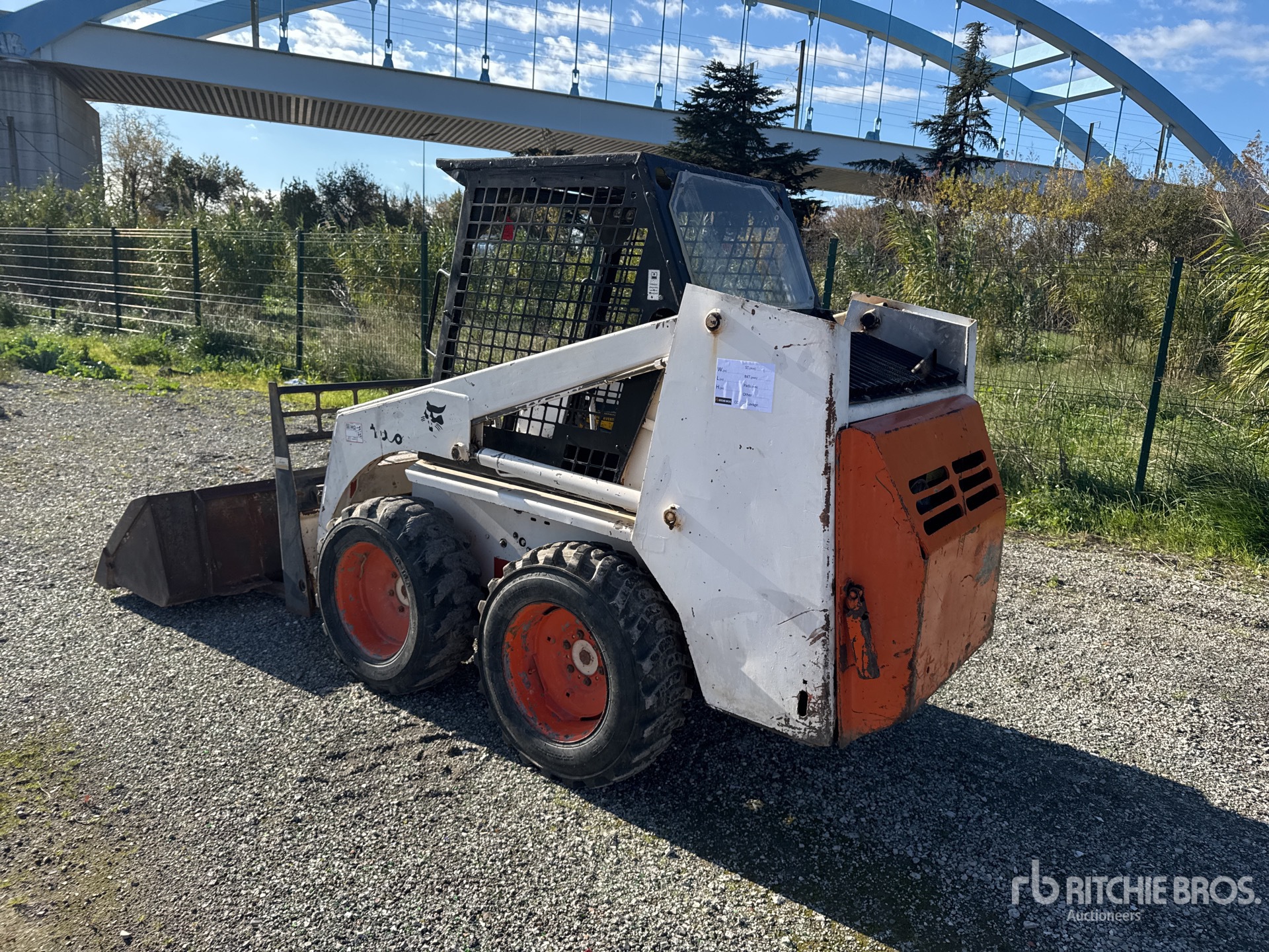 General Appearance with 