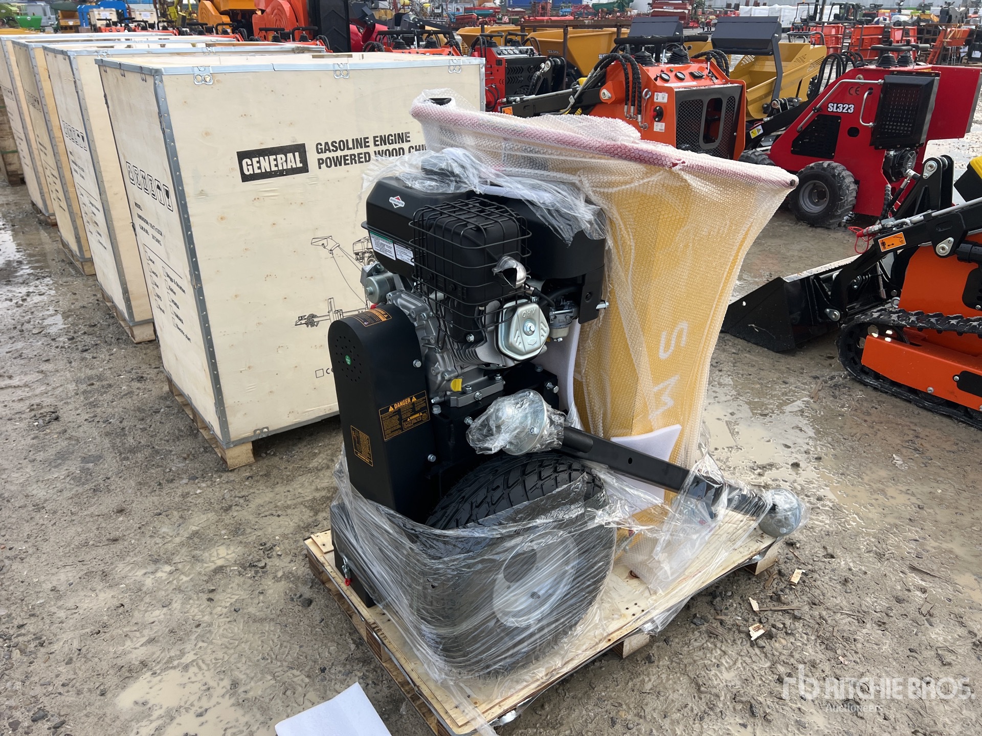 General Appearance with