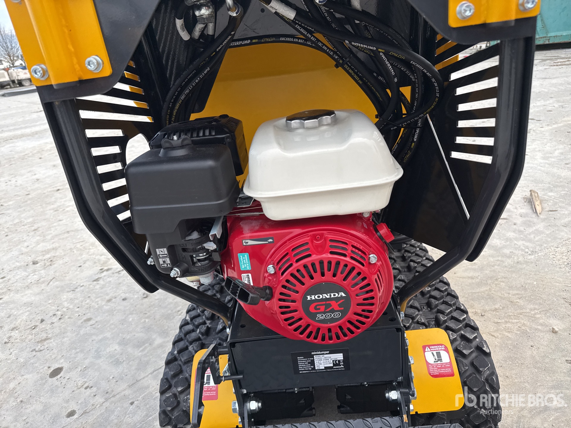 General Appearance with 