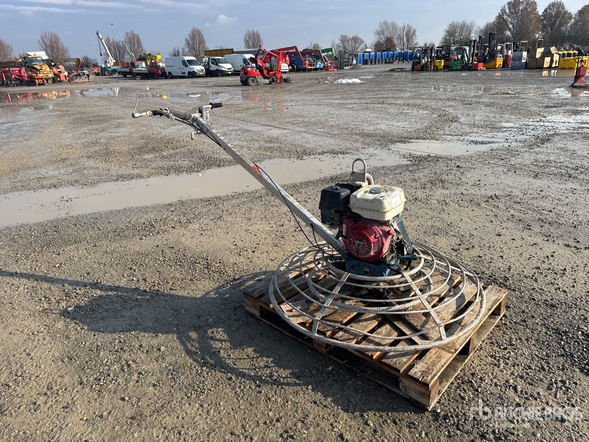 General Appearance with 