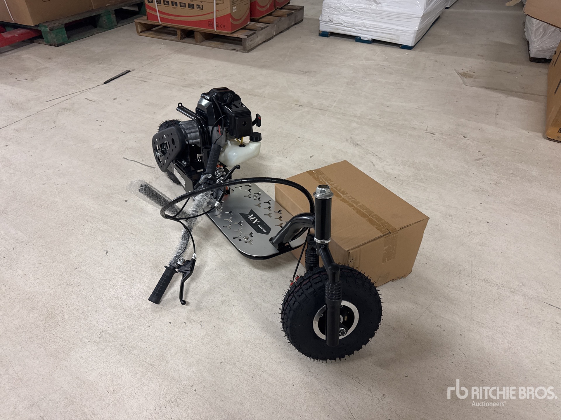 General Appearance with 