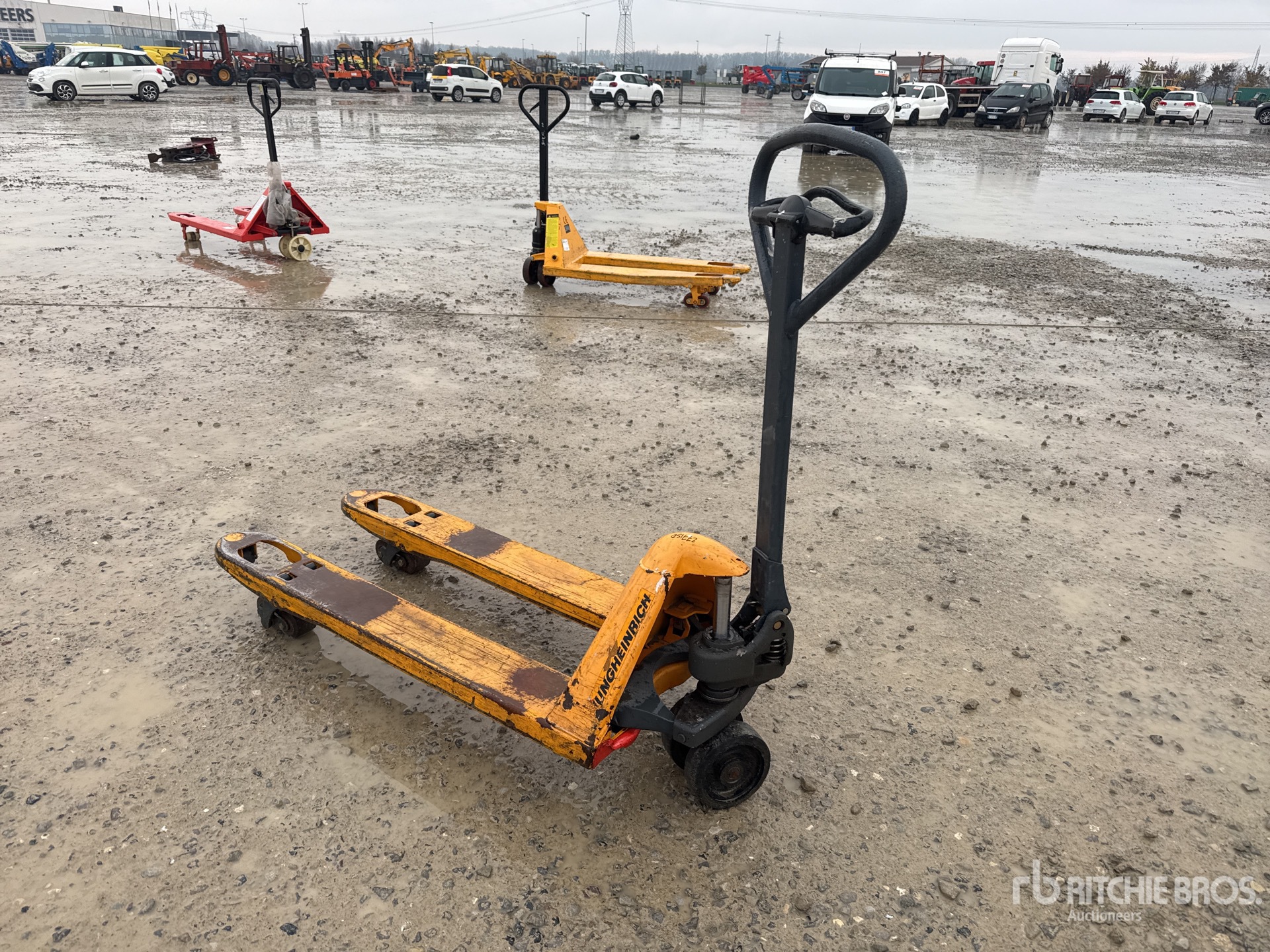 General Appearance with 