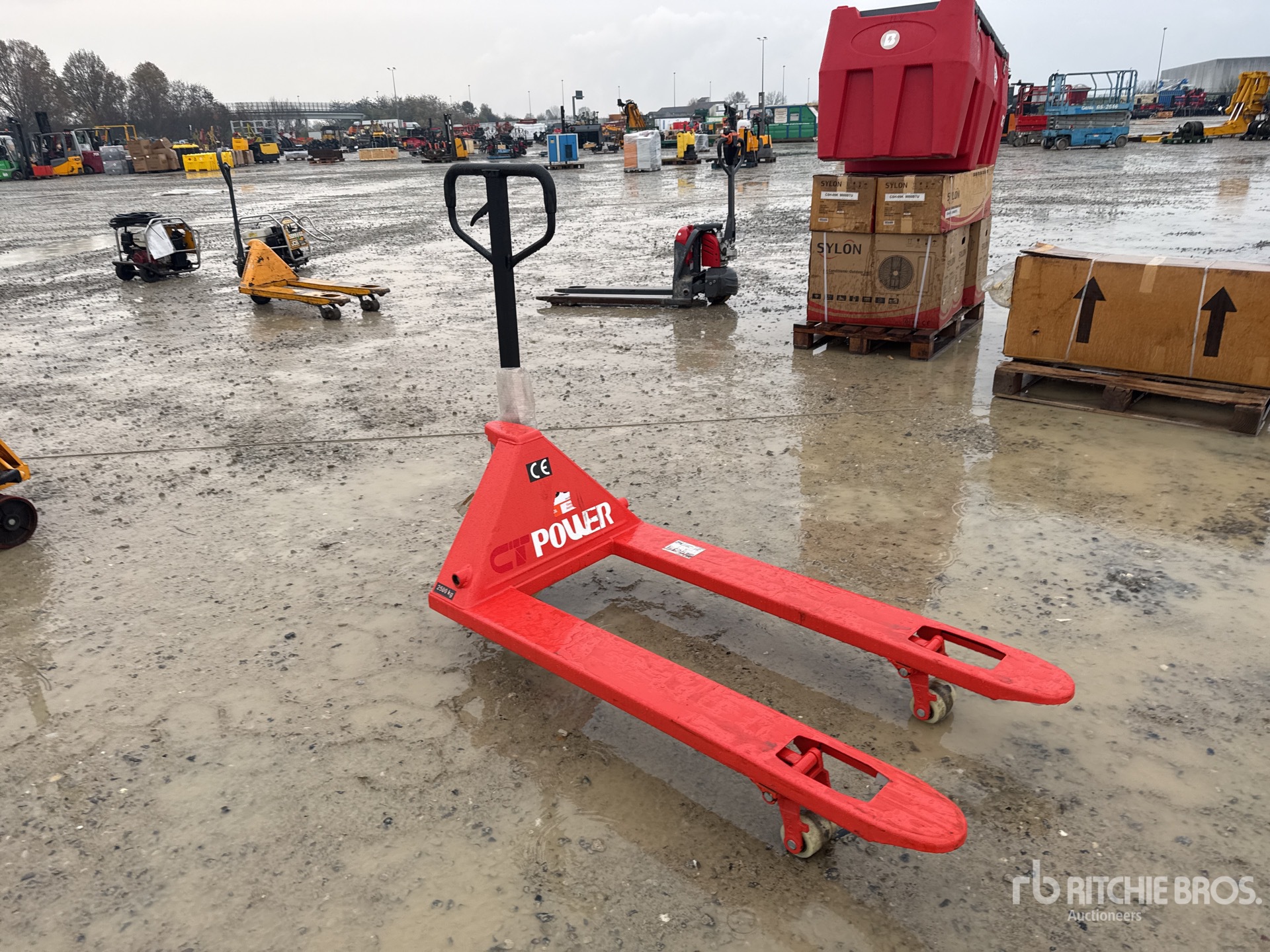 General Appearance with 