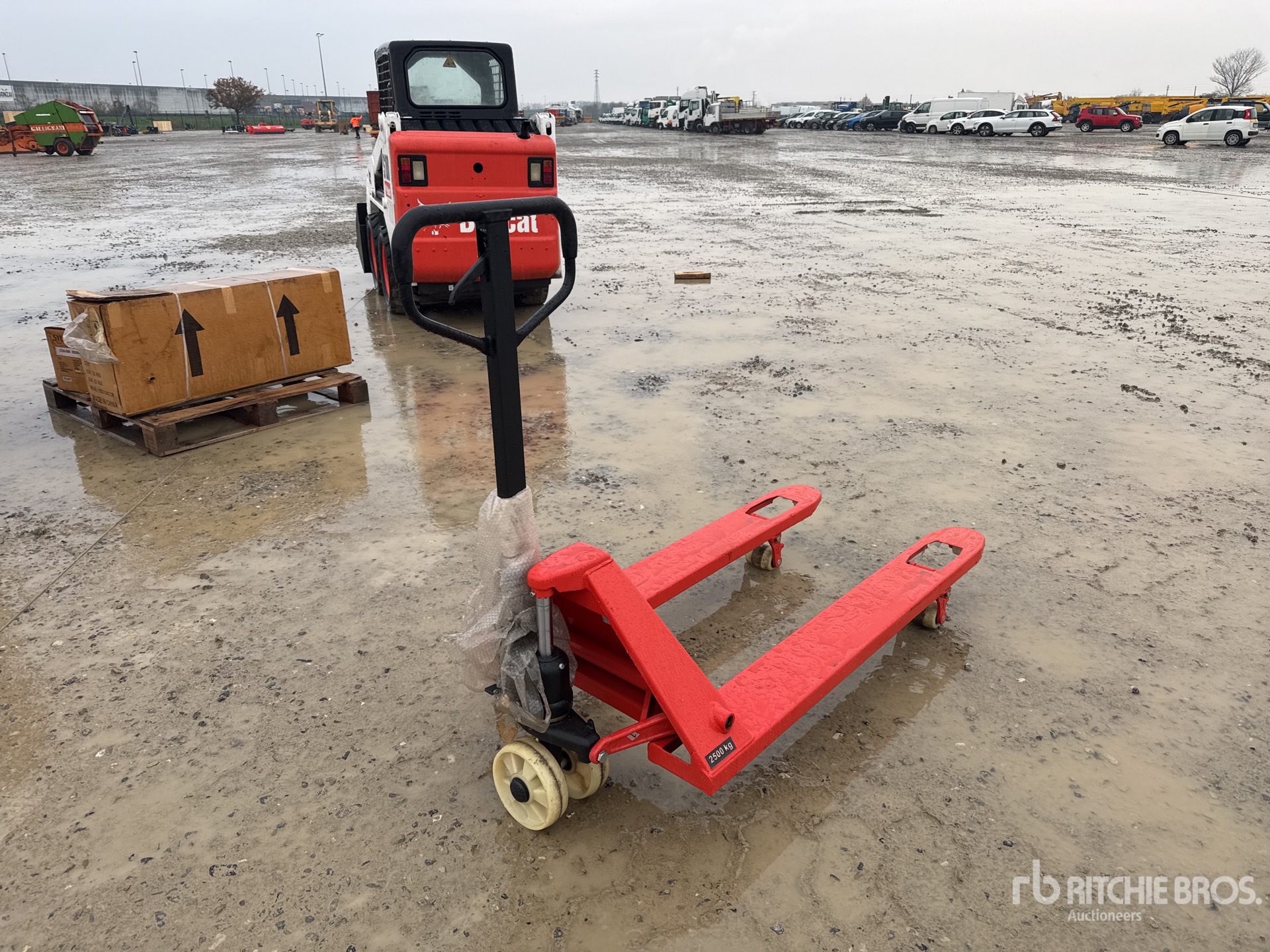 General Appearance with 