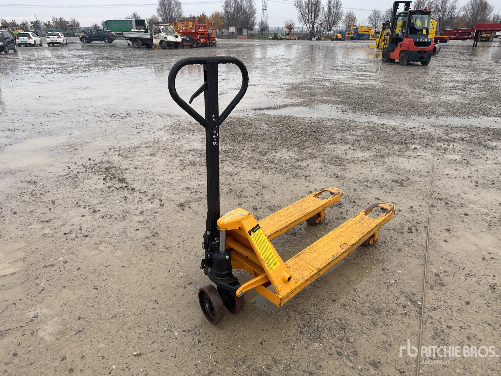 General Appearance with 