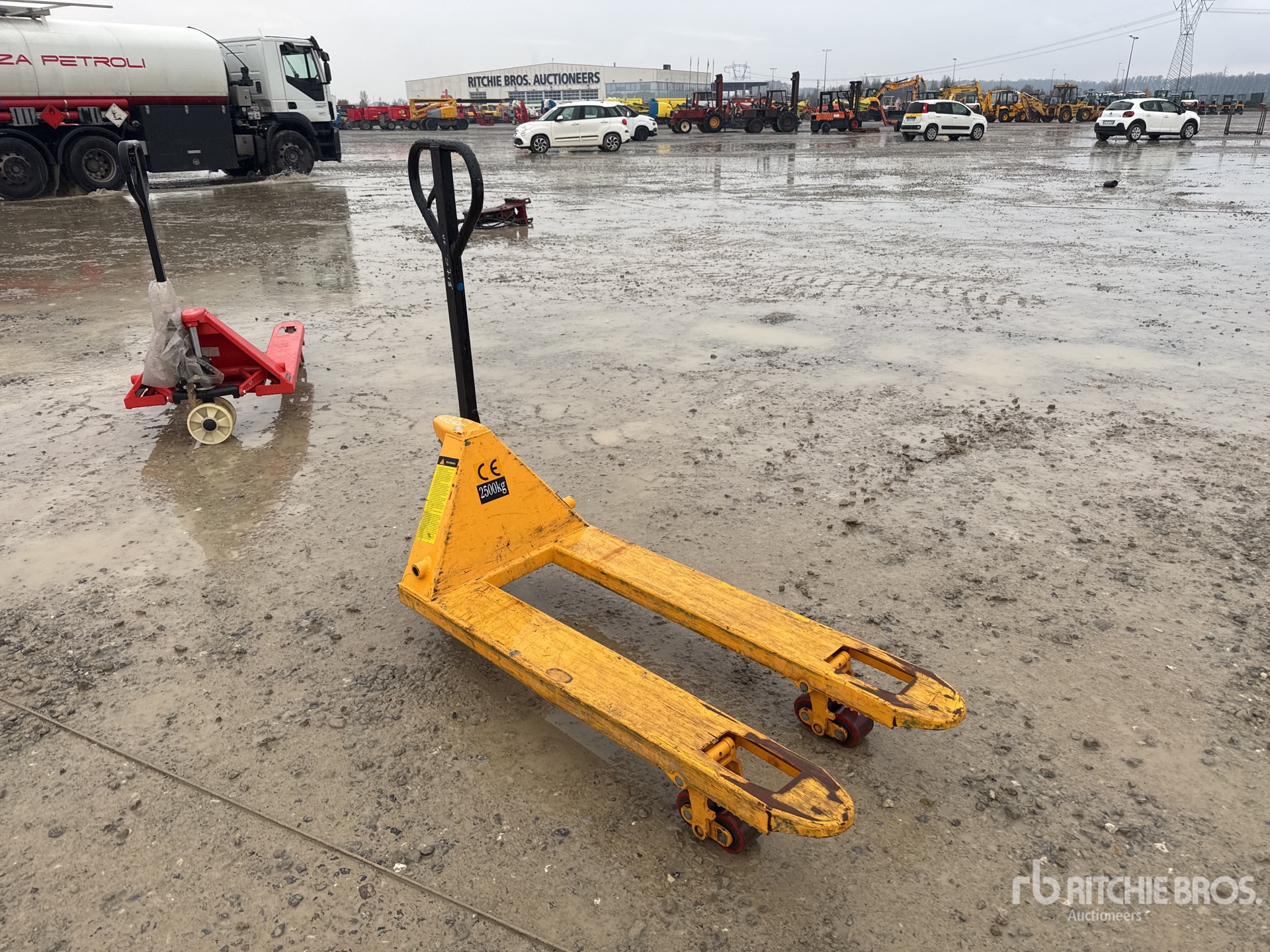 General Appearance with 