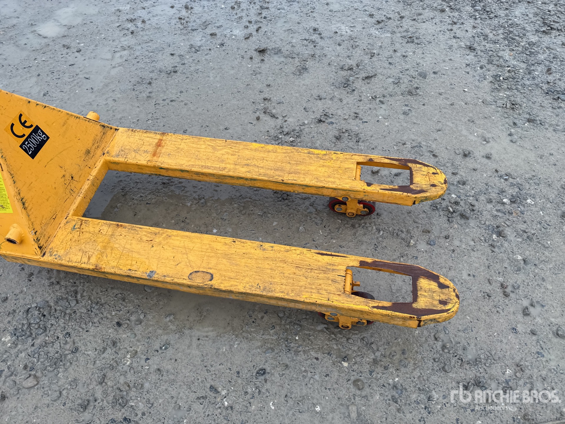 General Appearance with 