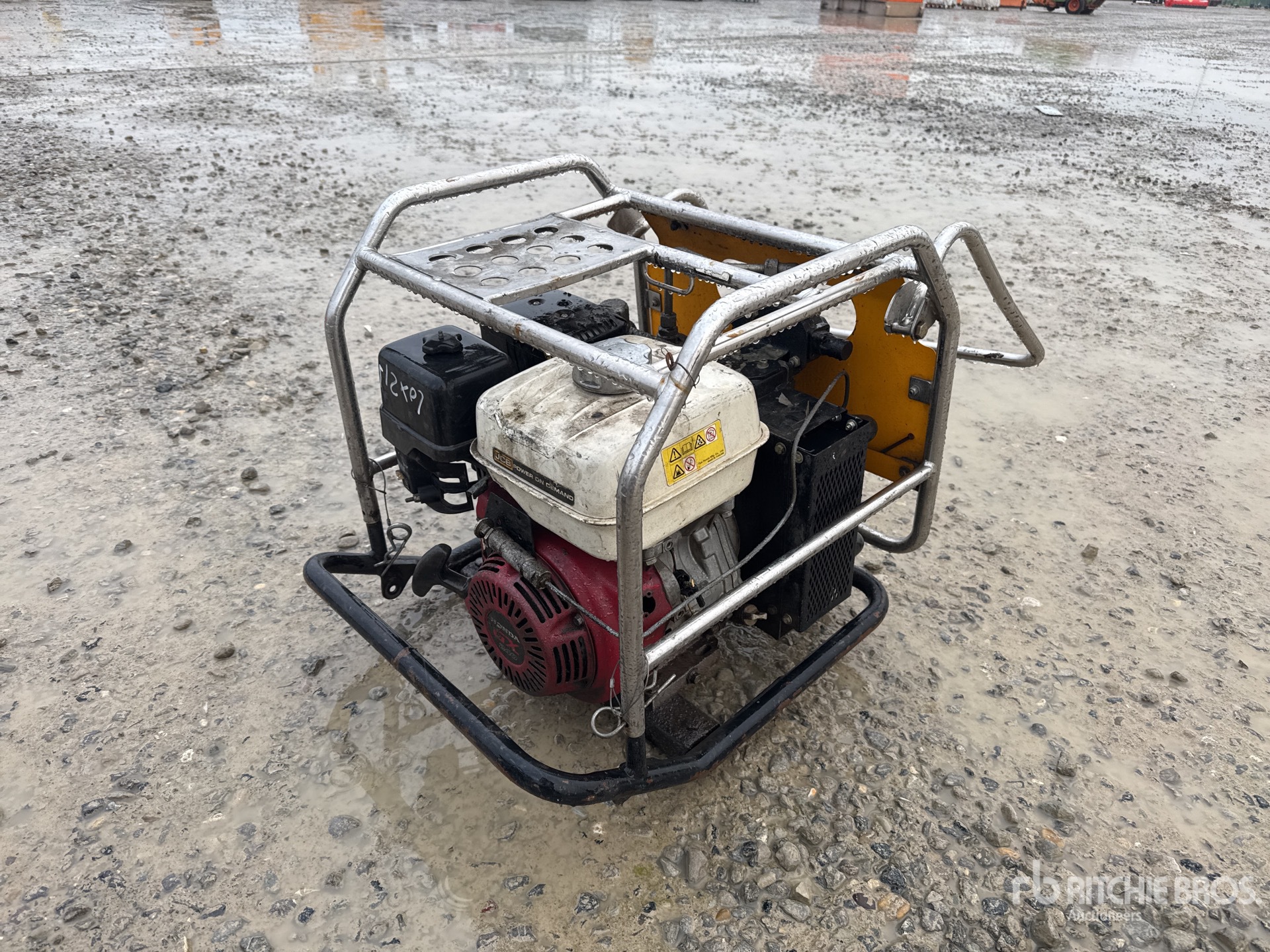 General Appearance with 