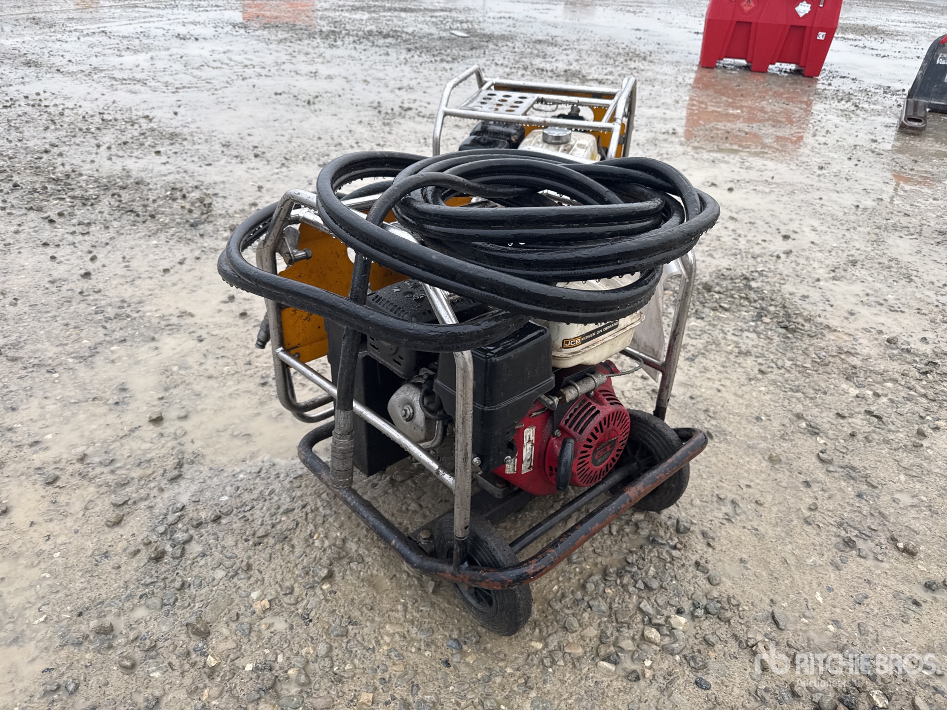 General Appearance with 