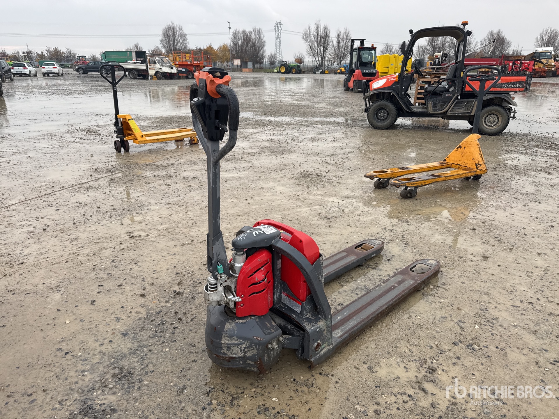 General Appearance with 