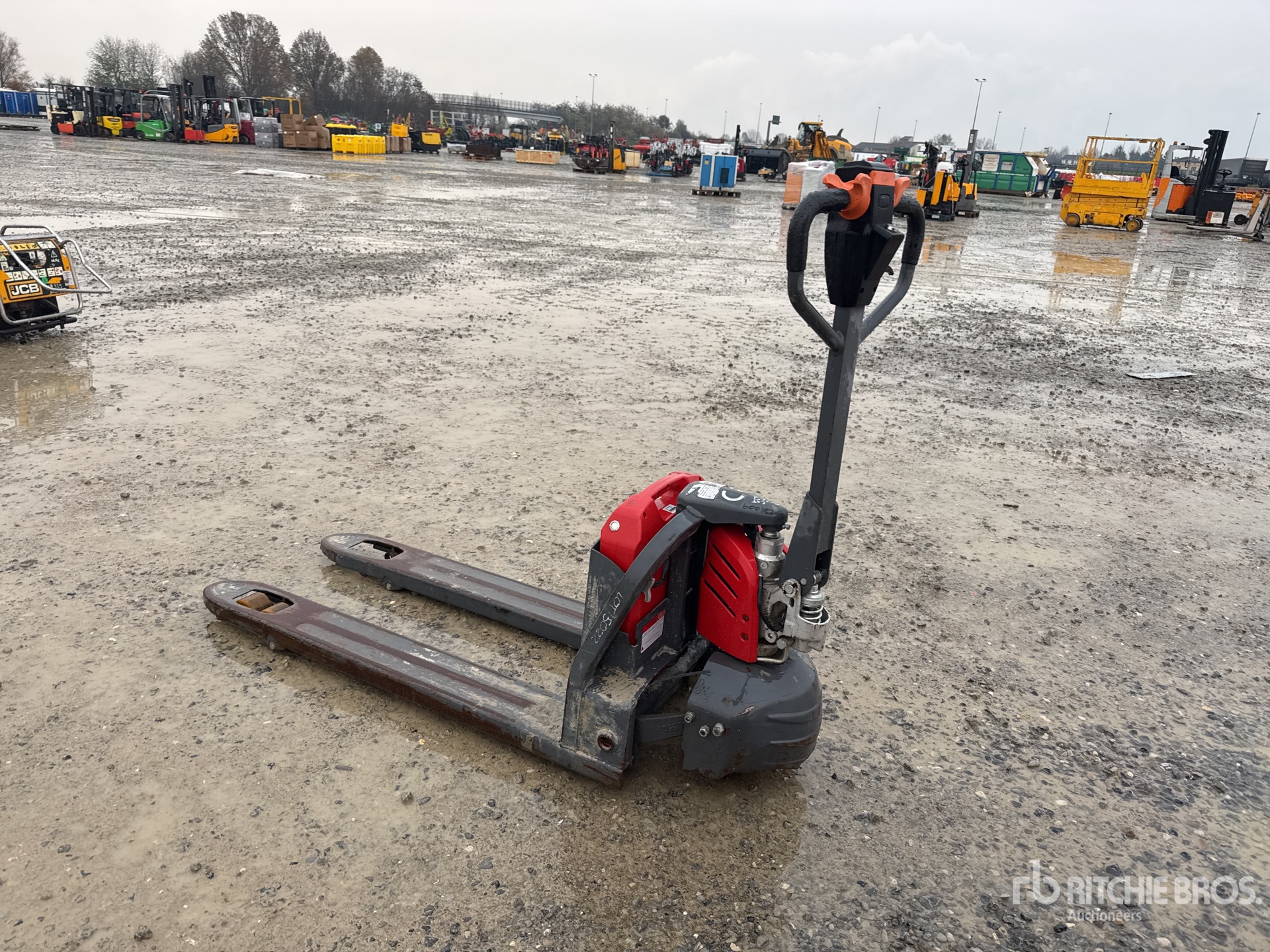 General Appearance with 