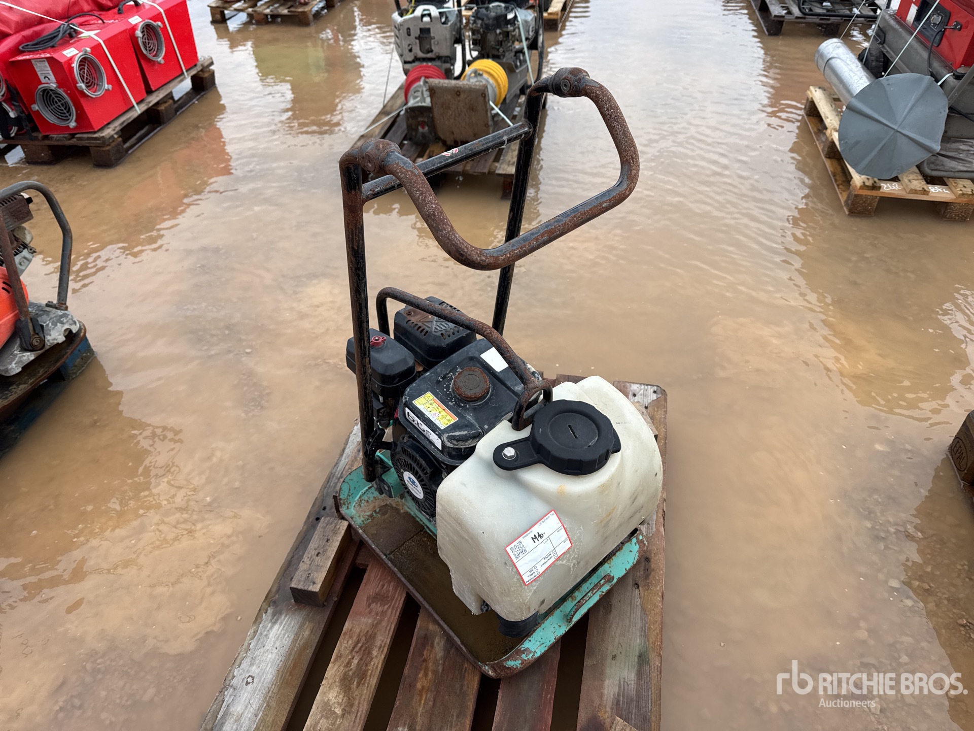 General Appearance with 