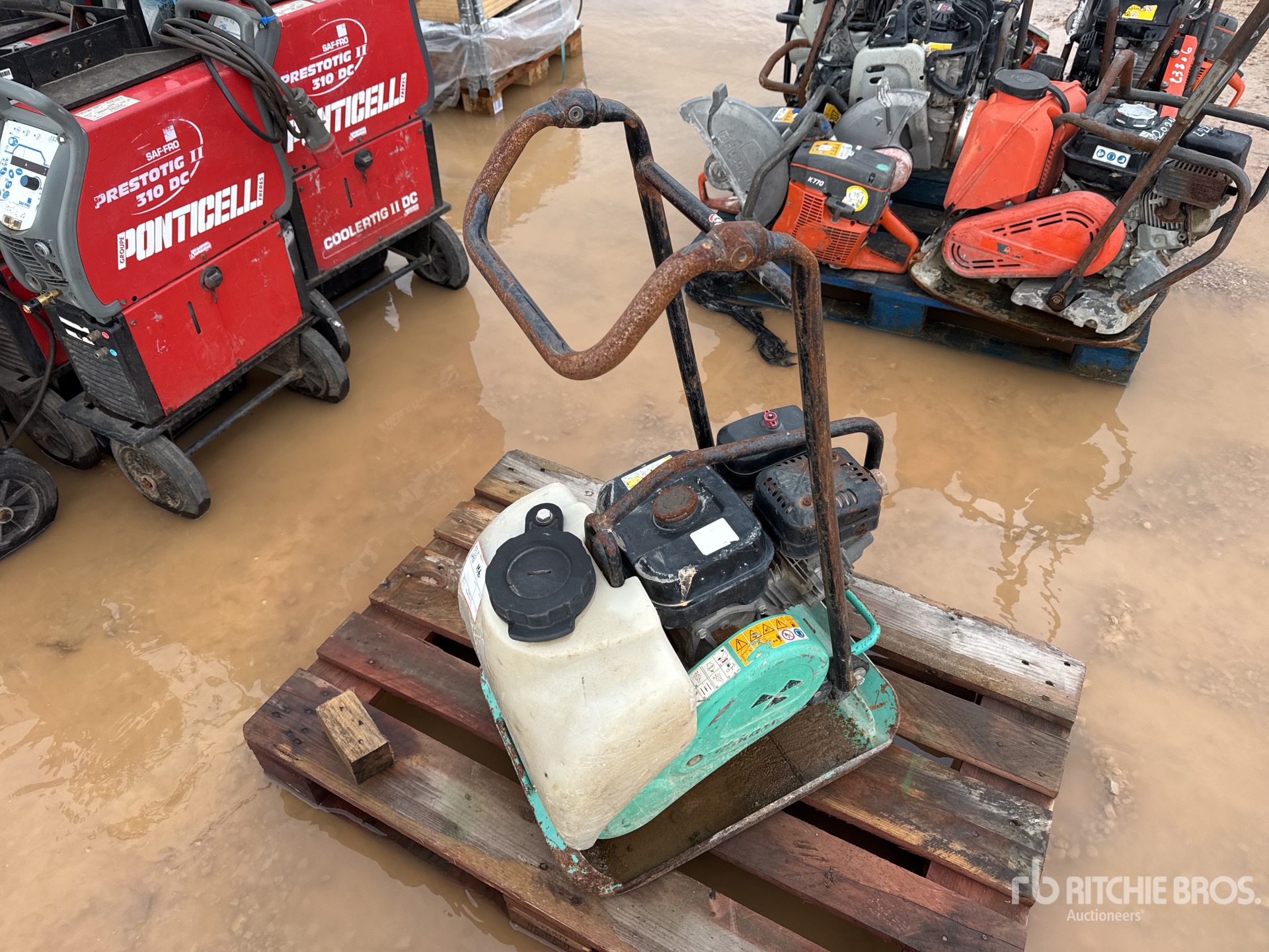 General Appearance with 