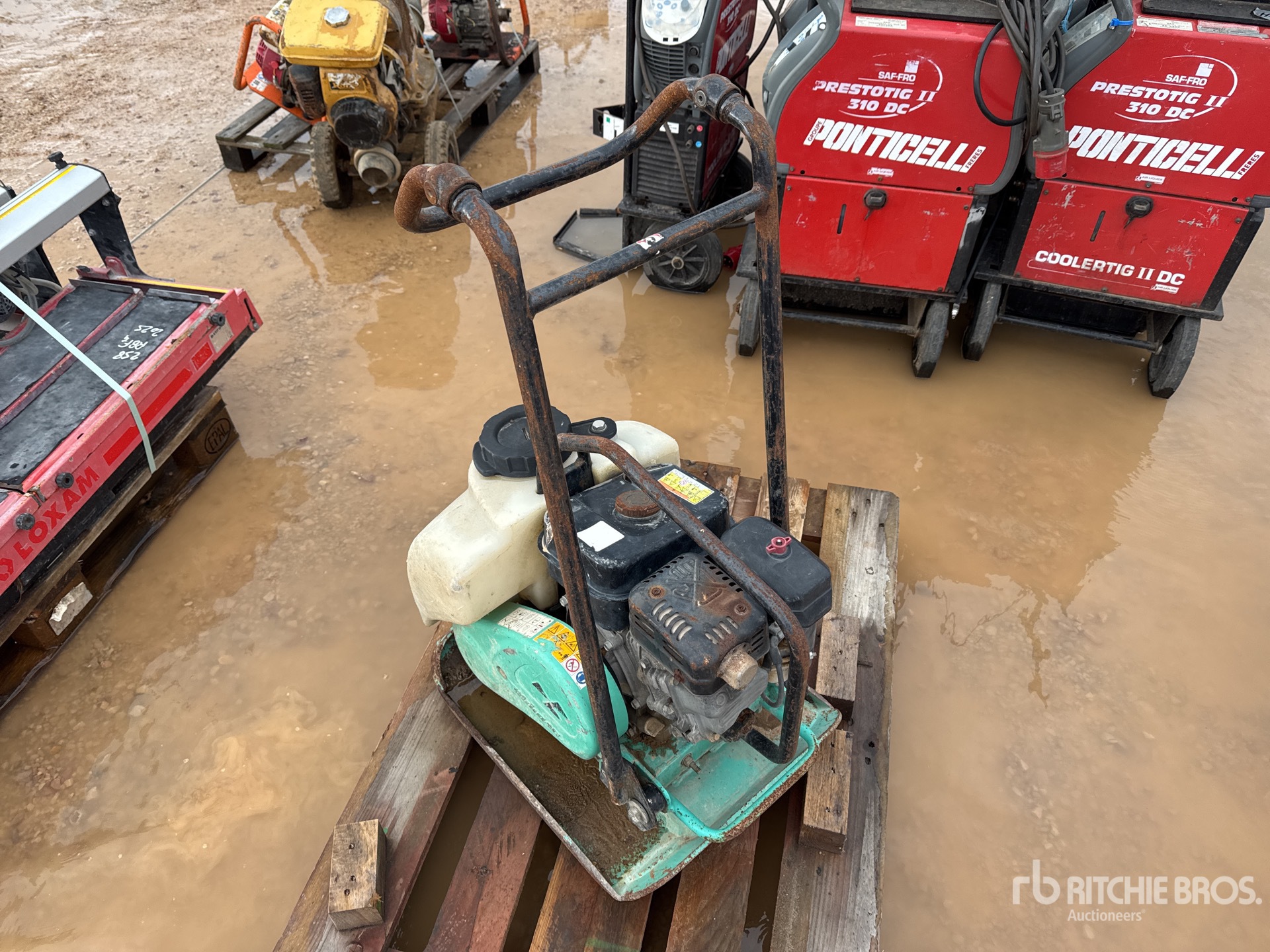 General Appearance with 