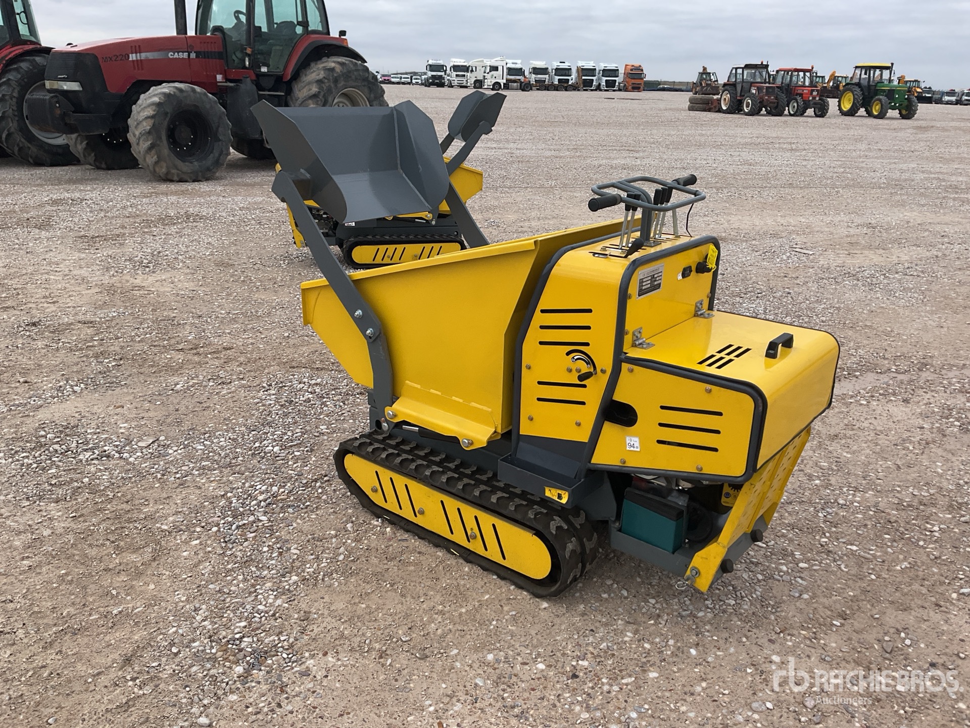 General Appearance with 