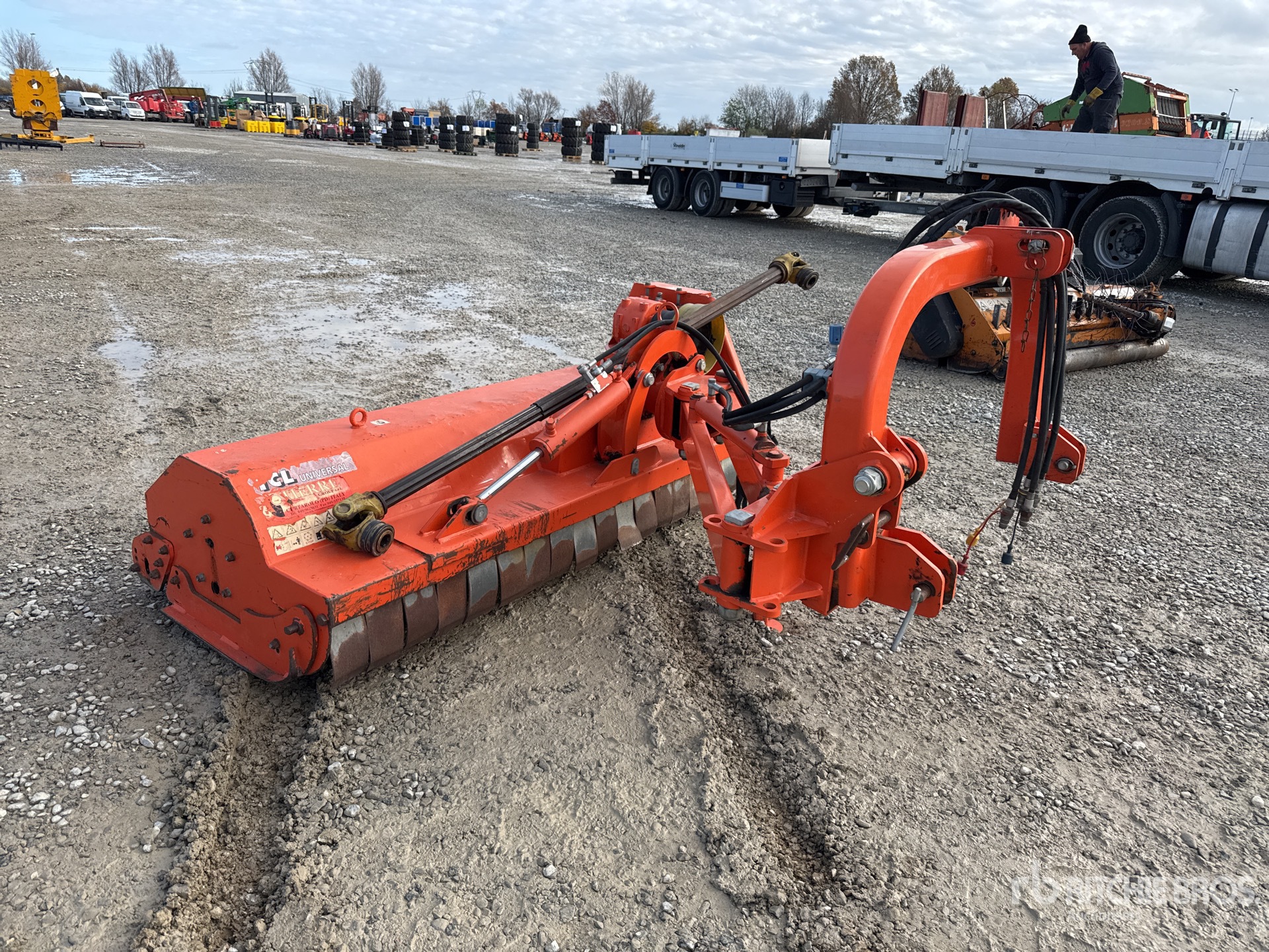 General Appearance with 