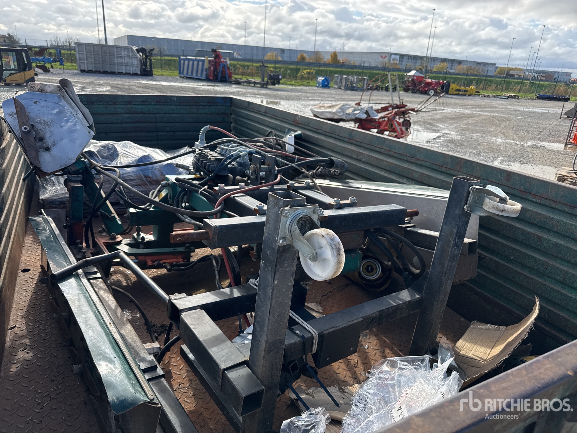 General Appearance with 