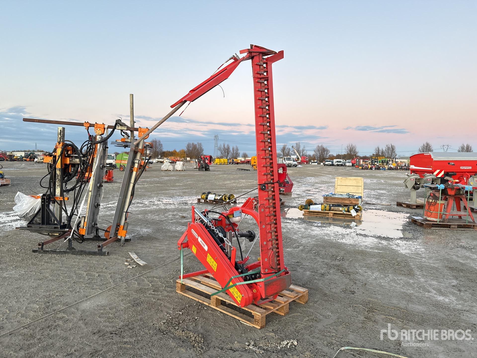 General Appearance with 