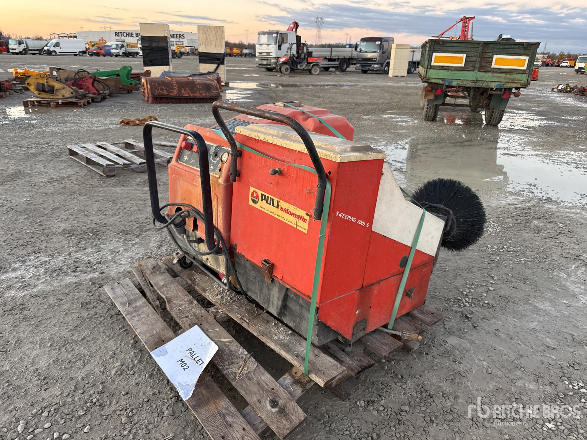 General Appearance with 