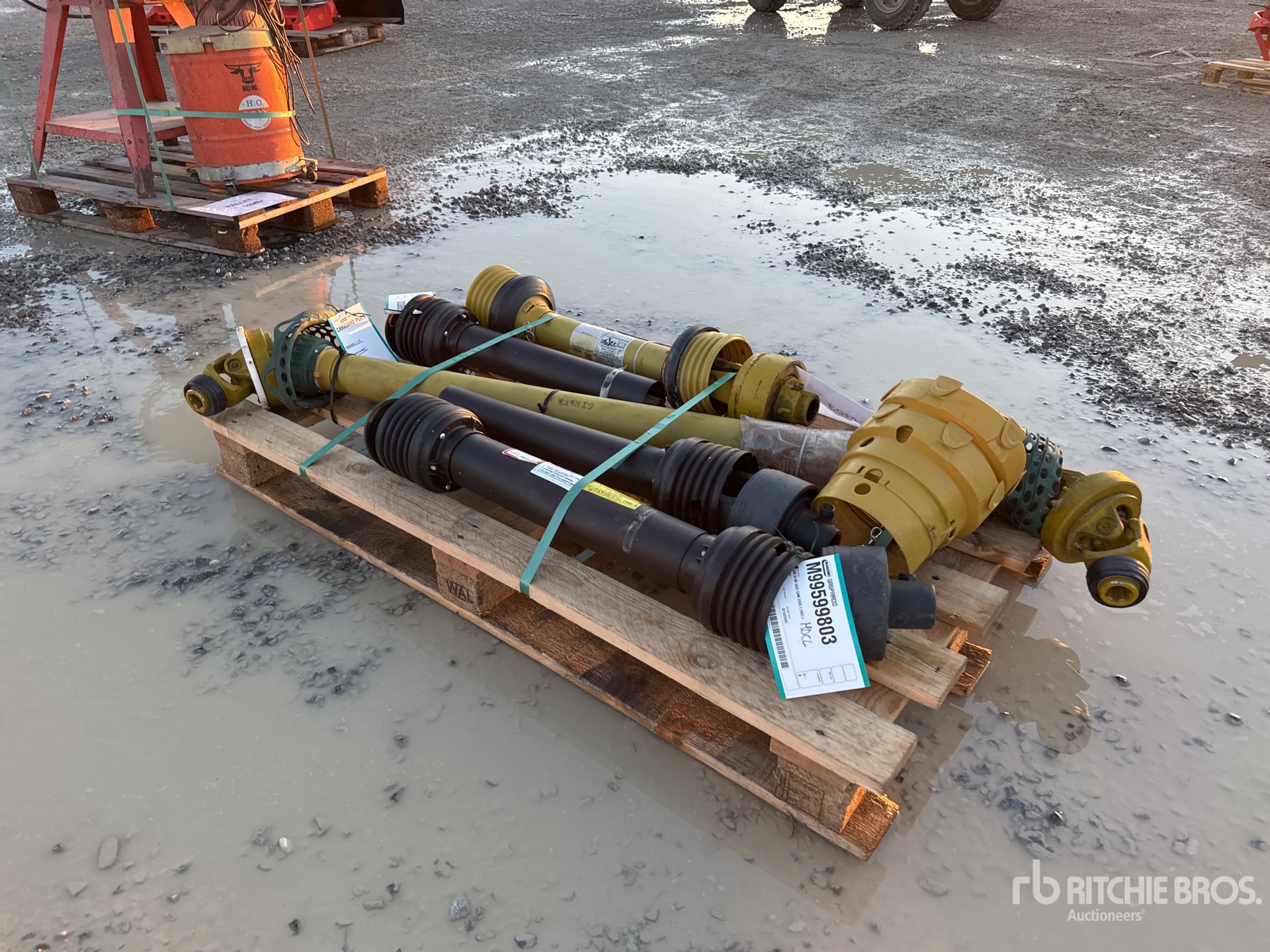 General Appearance with 