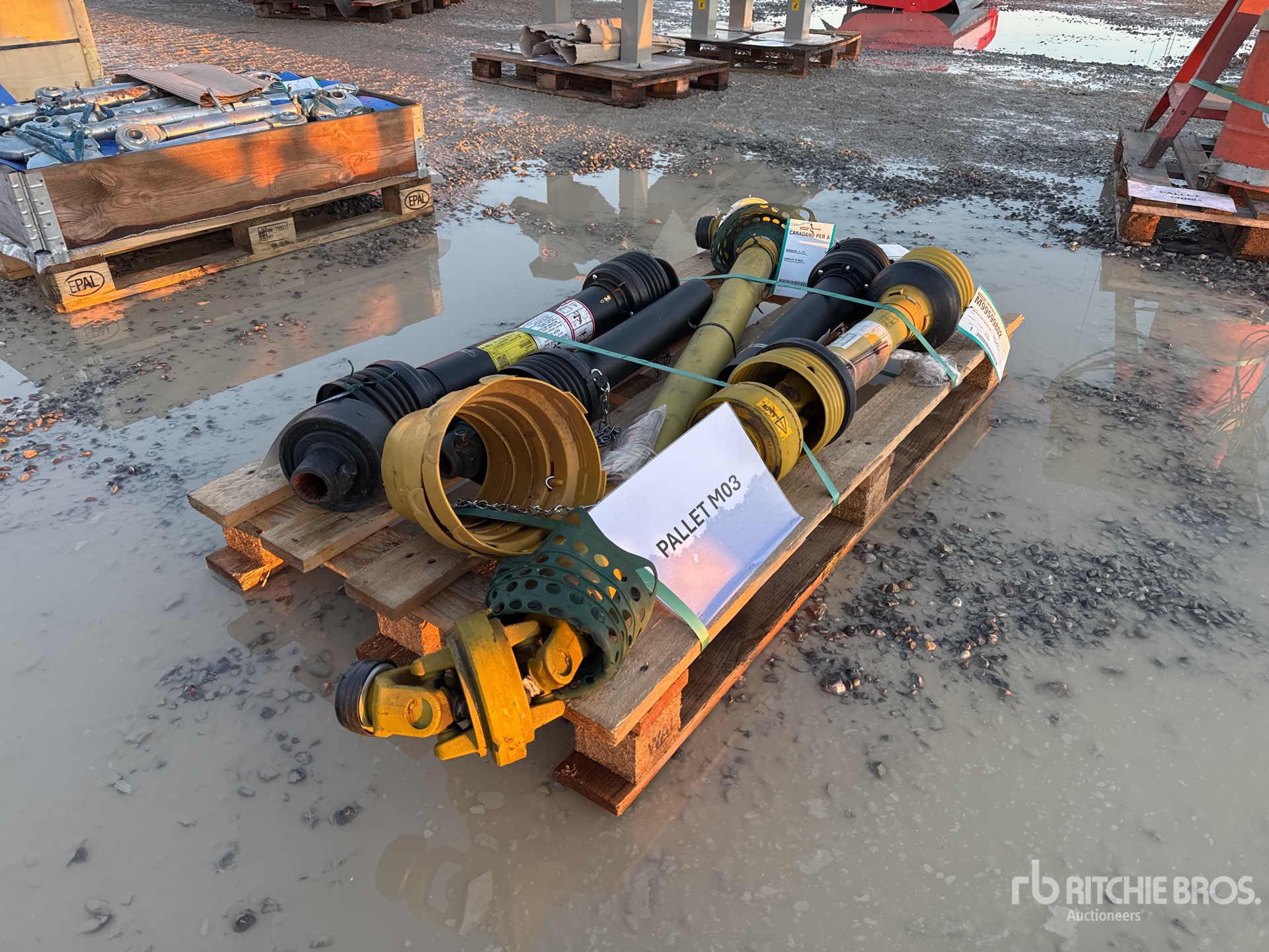 General Appearance with 