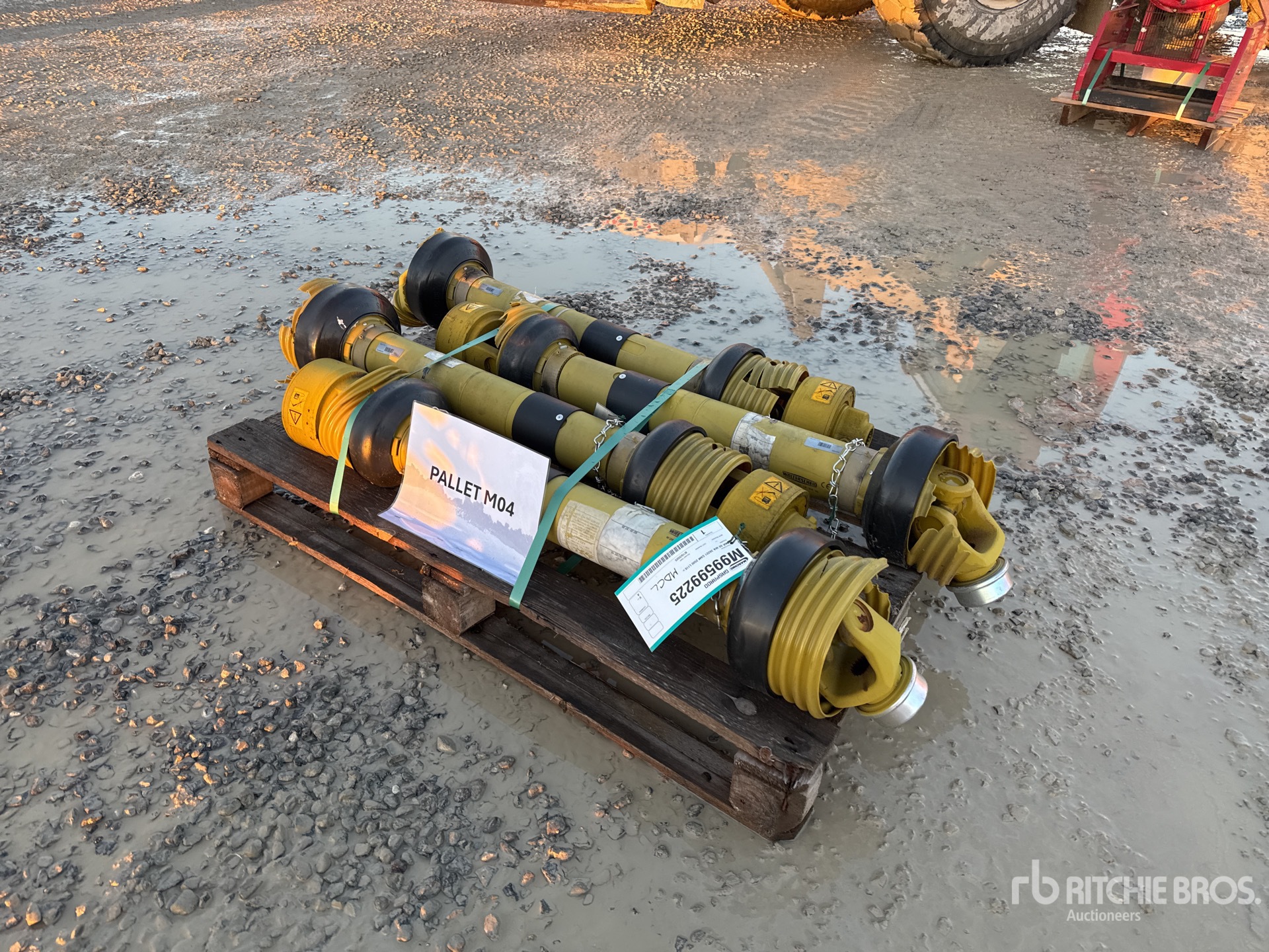 General Appearance with 