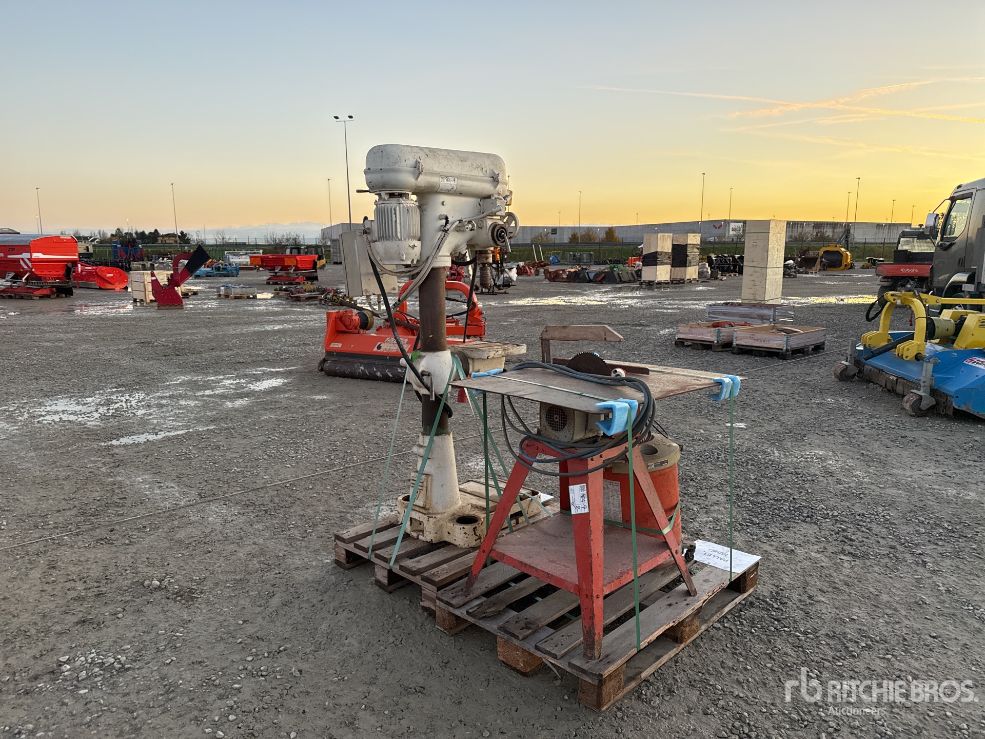 General Appearance with