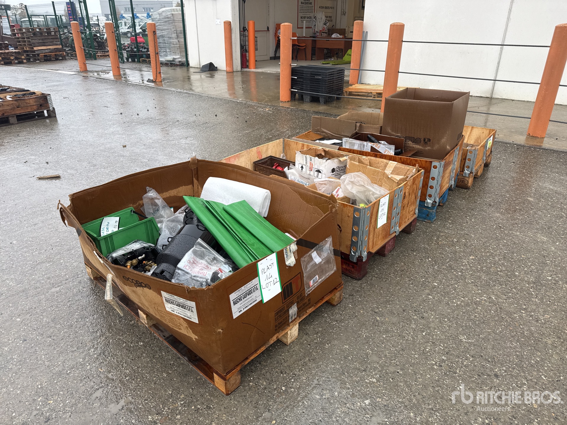 General Appearance with 