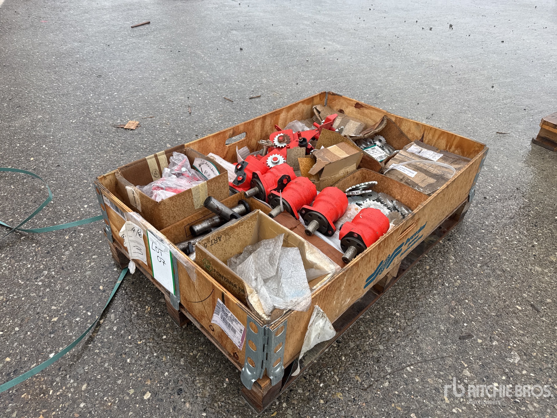 General Appearance with 