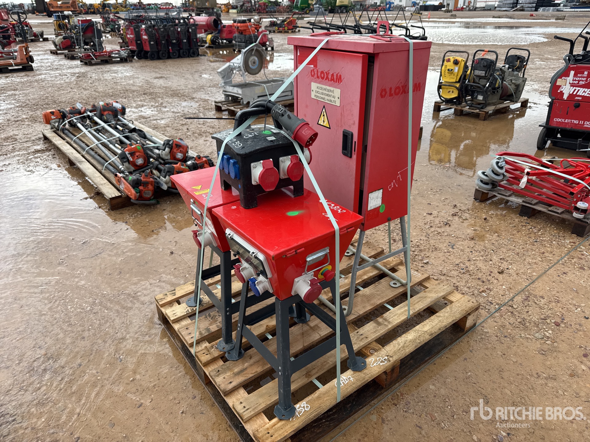 General Appearance with 